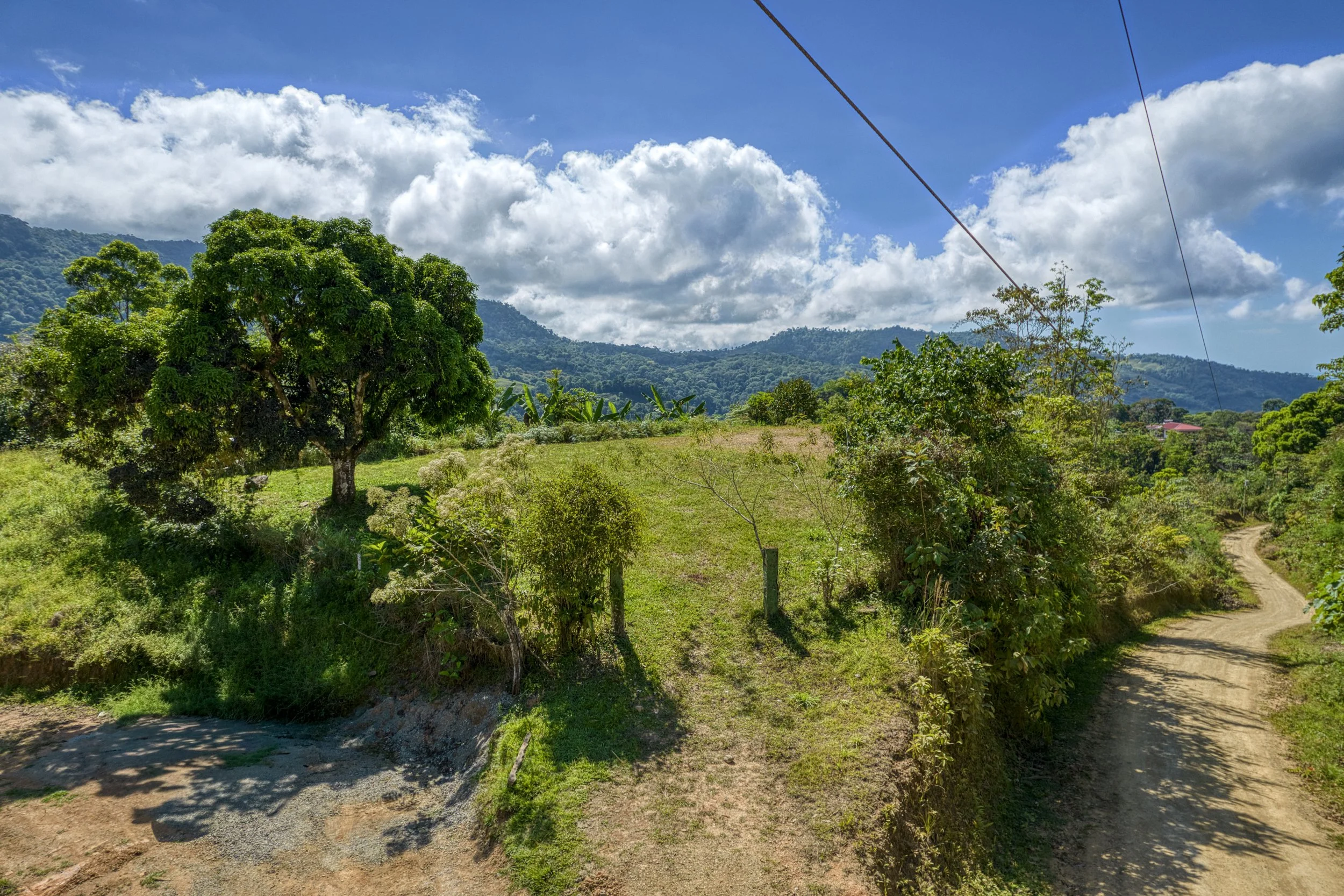 Internal access road leading to the main building site on the property