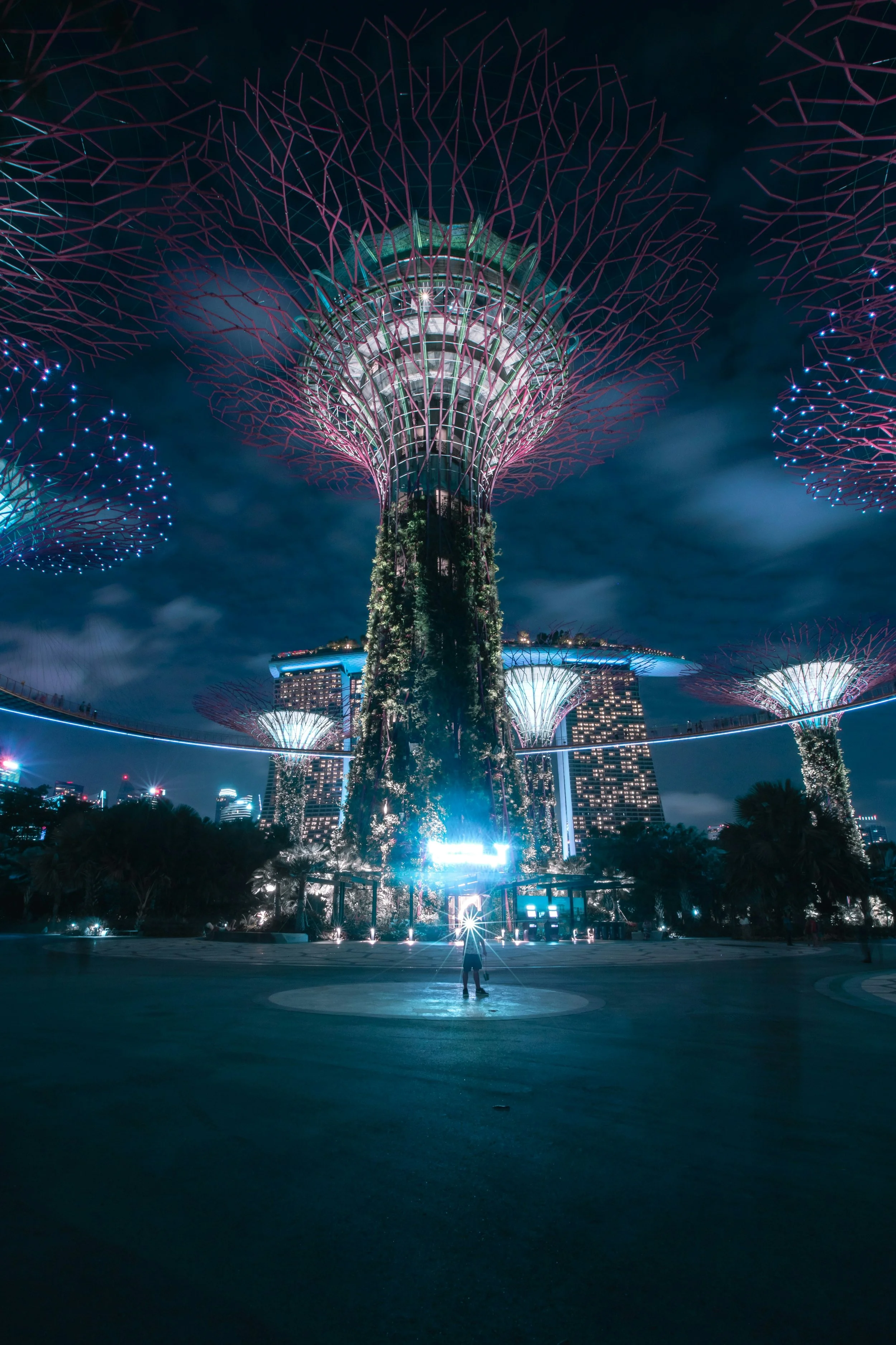Night view of the Supertree Grove at Gardens by the Bay in Singapore, showing illuminated futuristic tree structures with glowing canopies and a person standing in the foreground.