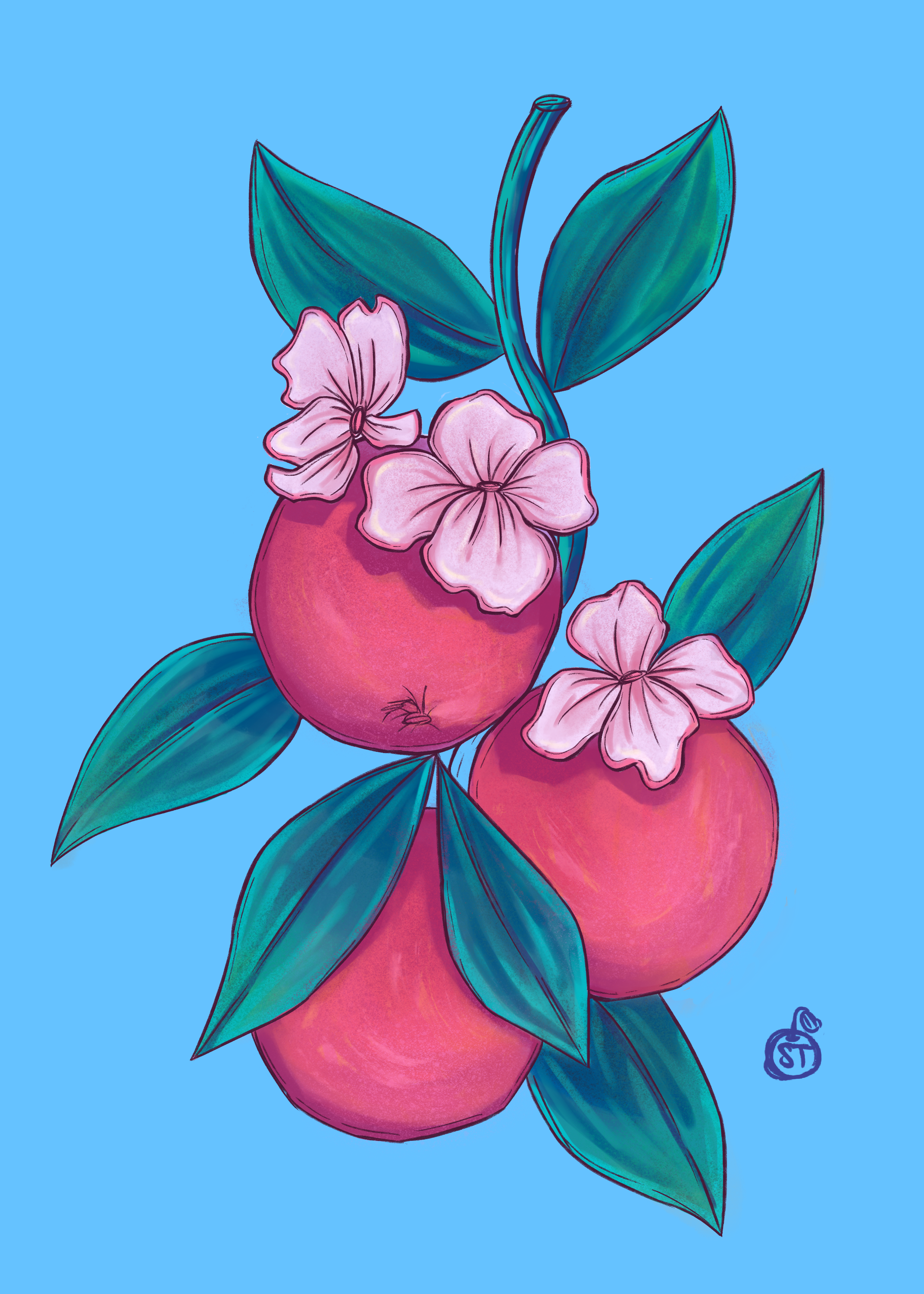 JD_Tangerine set_print.PNG