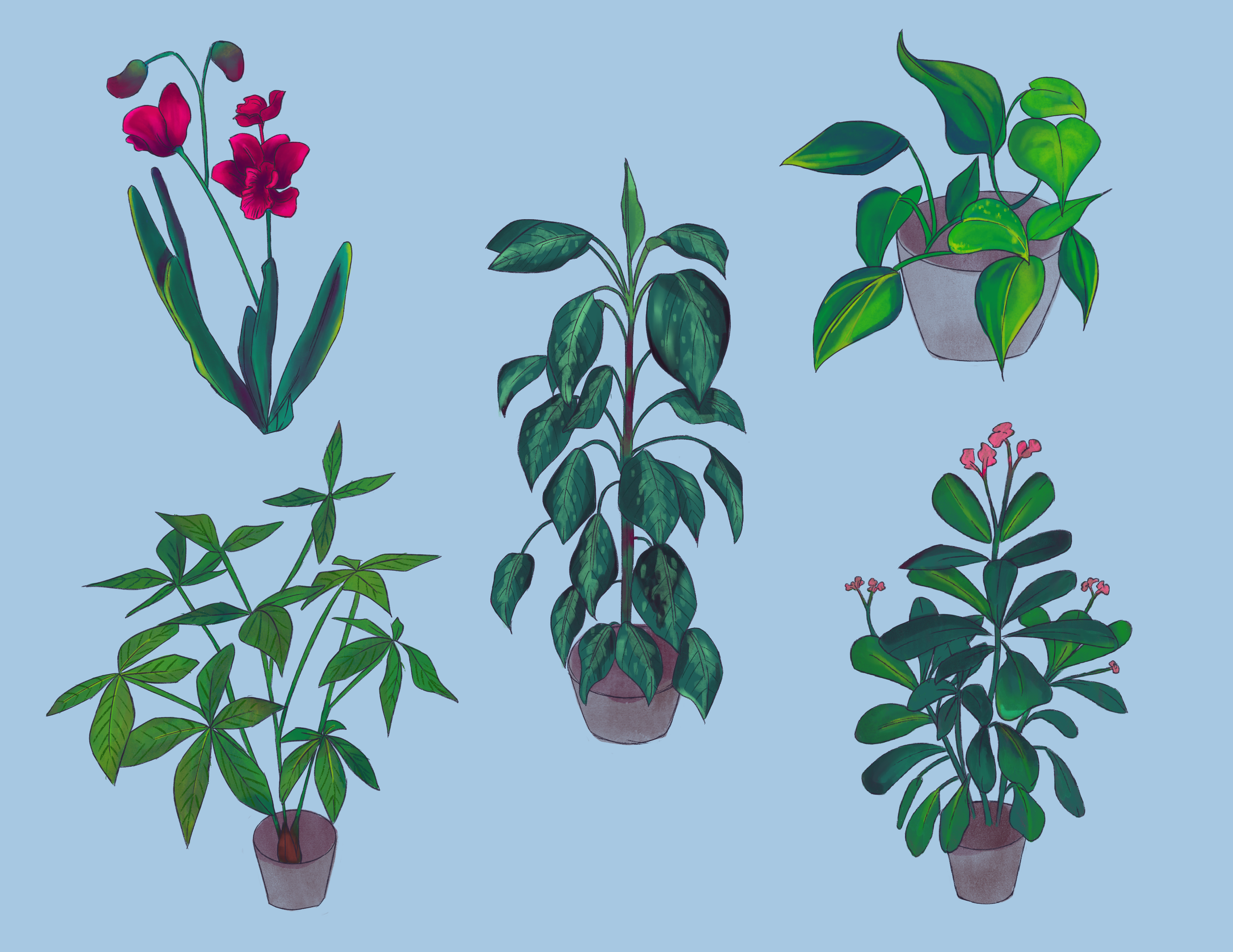 JD_Moms_plants_print.png