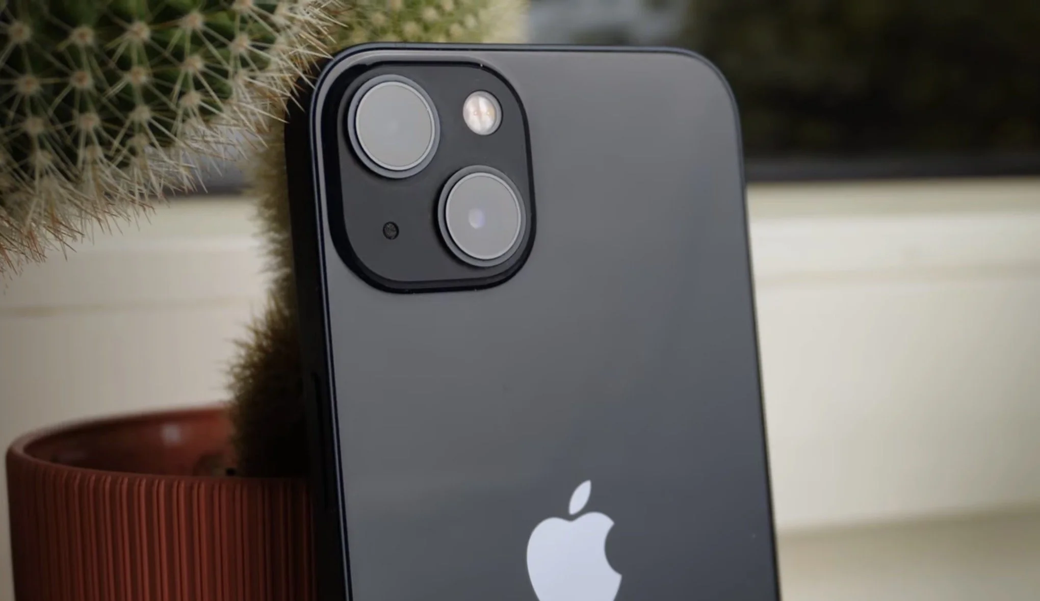 Close-up of a black iPhone with dual cameras and flash, standing next to a potted cactus.