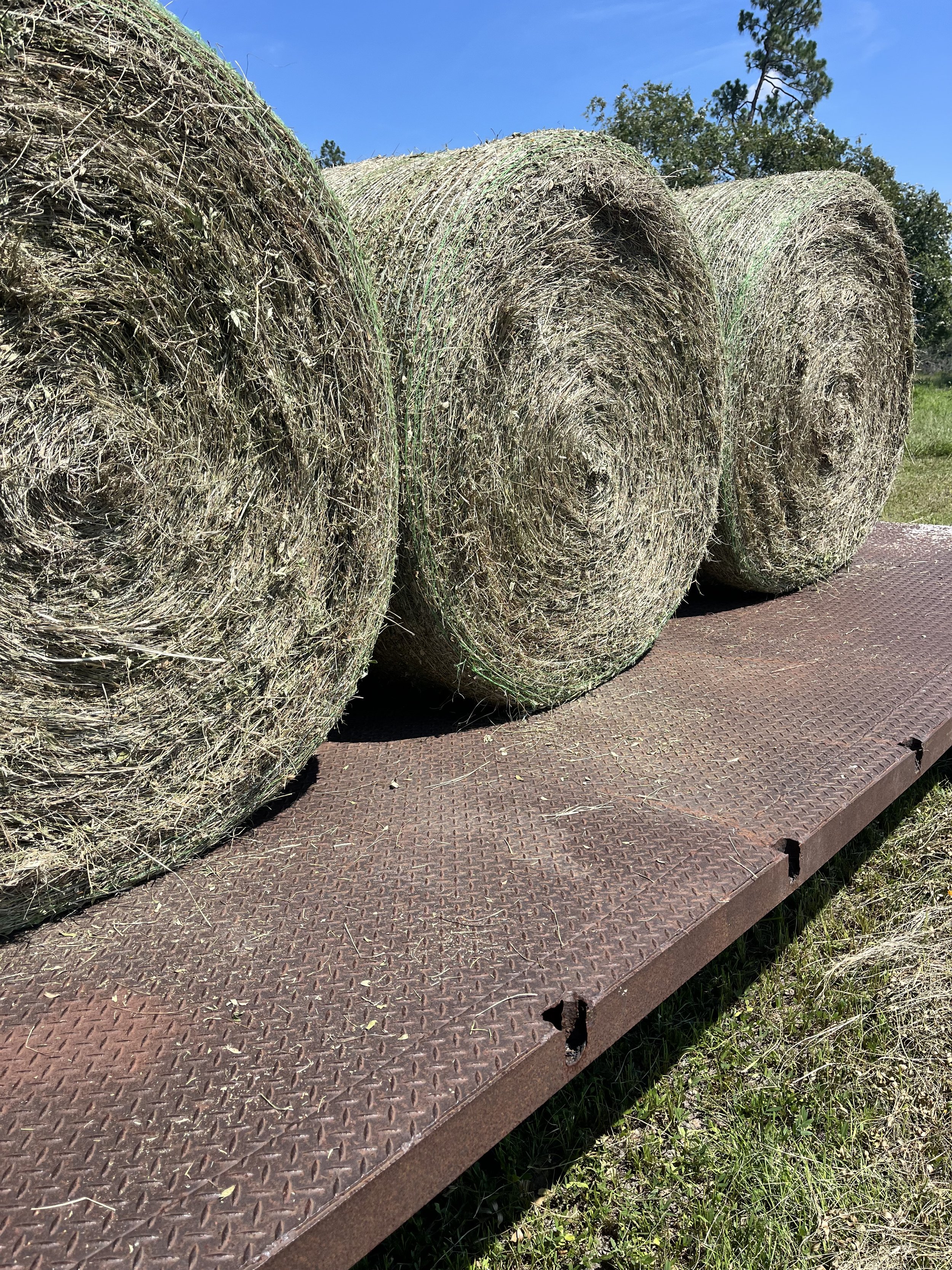 Hay rolls and bales