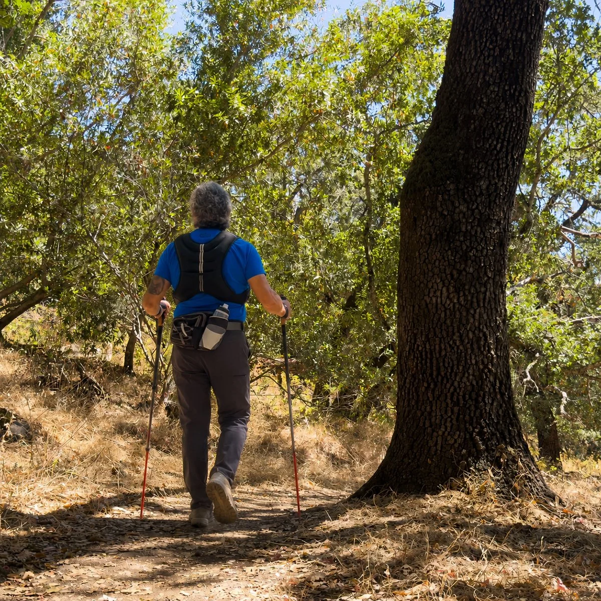 The Trail Ahead: What Taylor Mountain Is Teaching Me About Growing Older