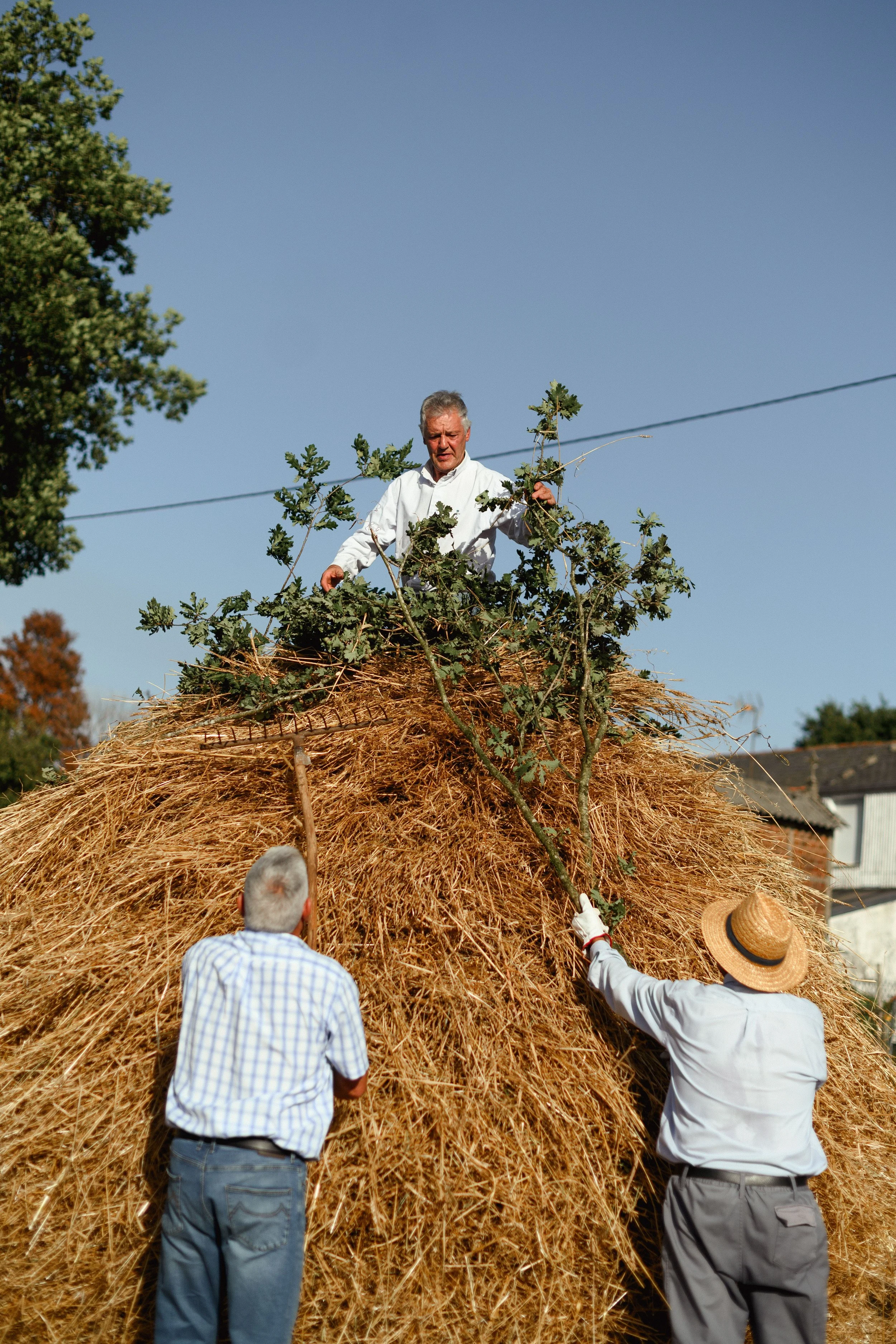 MALLA PARADELA_2026 (98).JPG