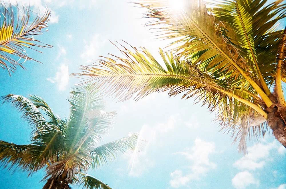 Qué hacer en Mallorca cuando hace mucho calor - Guía de las Mejores Actividades