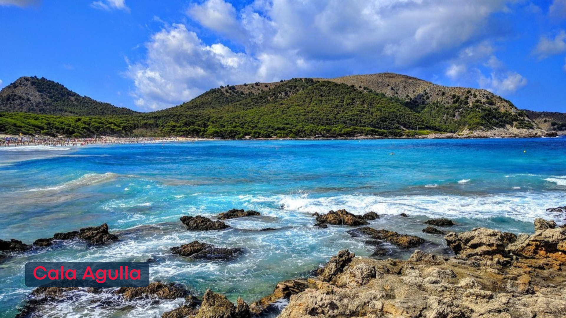 playas (2).png