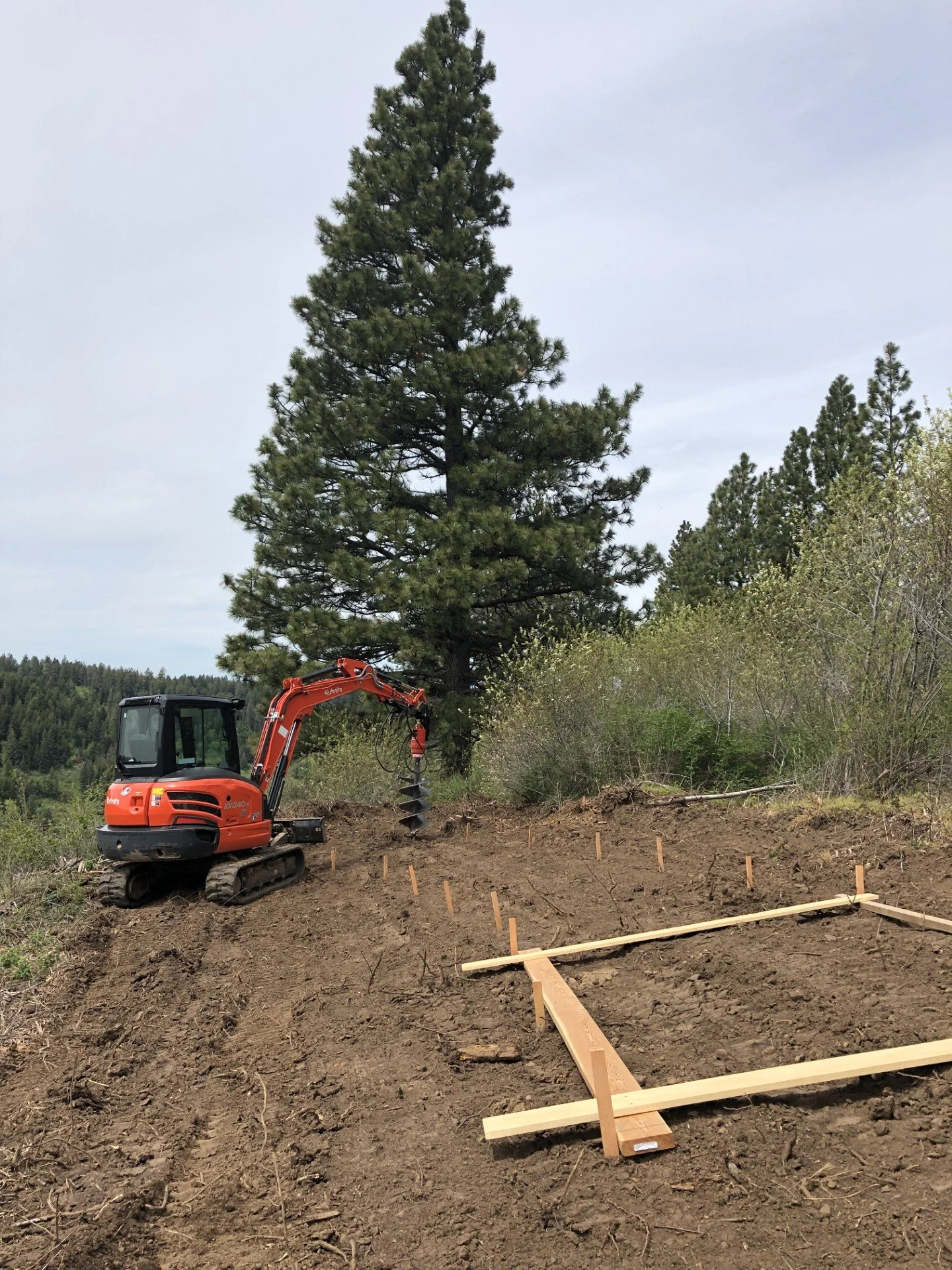 A small orange excavator with a hydraulic auger attachment is drilling into the ground on a construction site, with a large pine tree and other trees in the background.