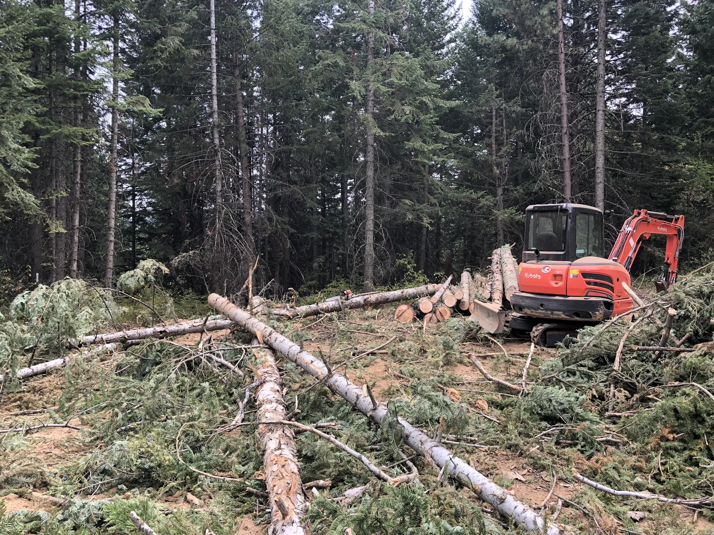 A Kubota mini excavator clearing trees and branches from a building site.