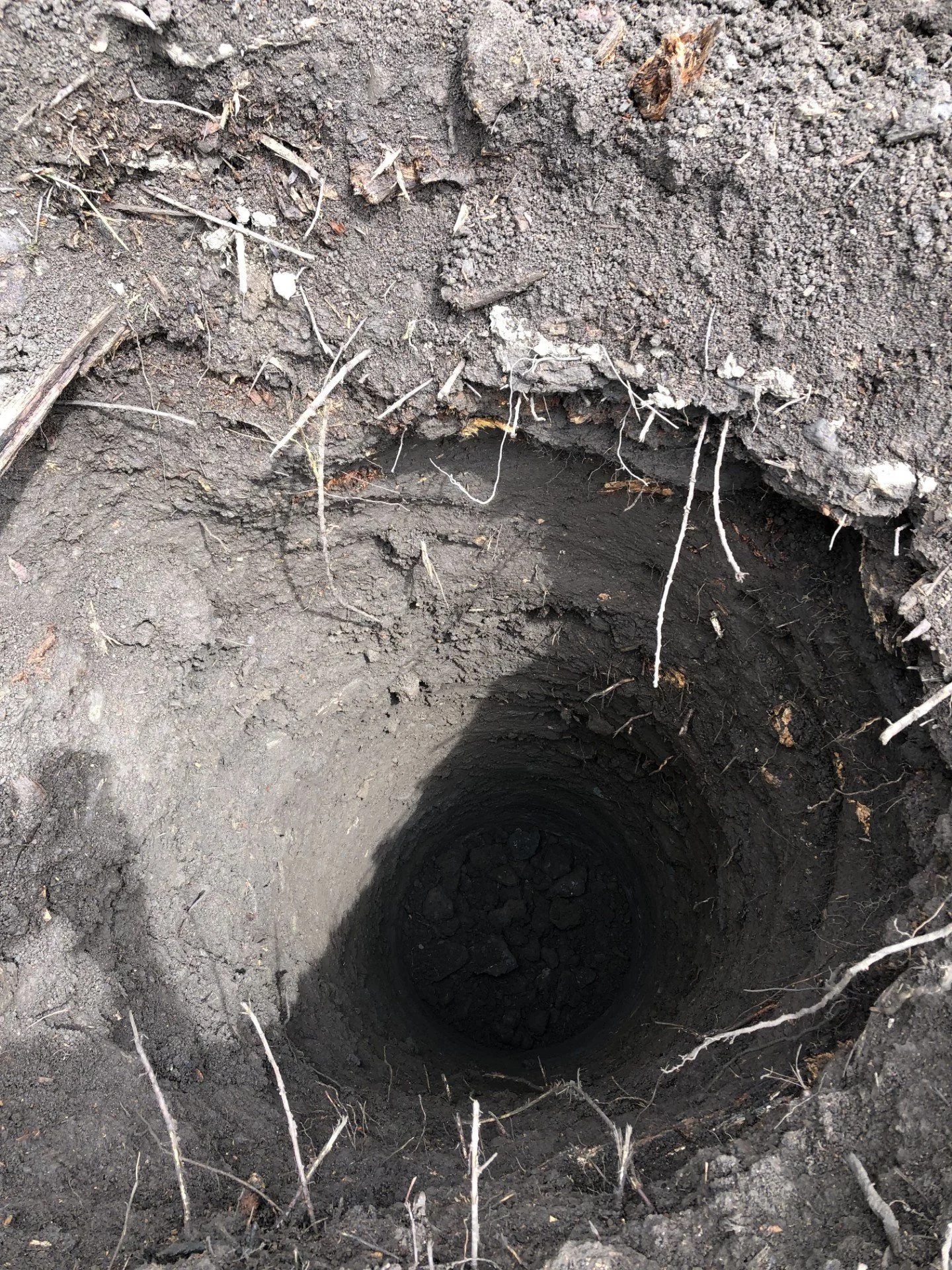 Augured hole for gate post.