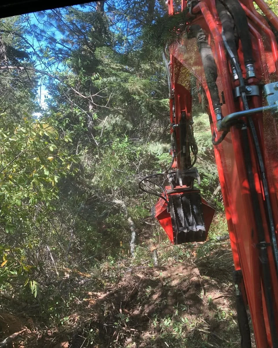 A large orange tree excavator working on clearing trees and bushes in a forested area during daytime.