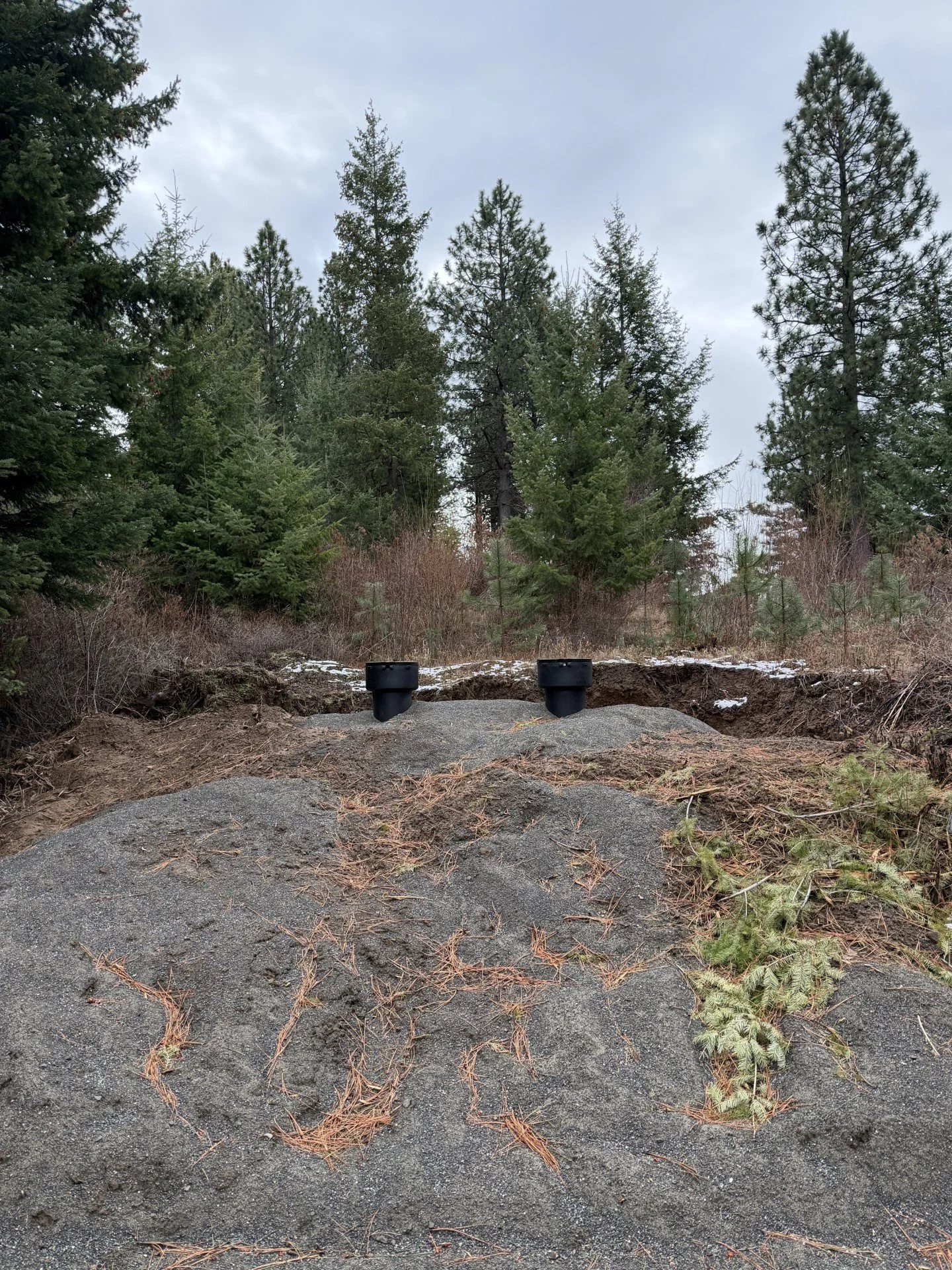 Two black septic tank lids on a mound of dirt and sand in a wooded area with pine trees in the background.