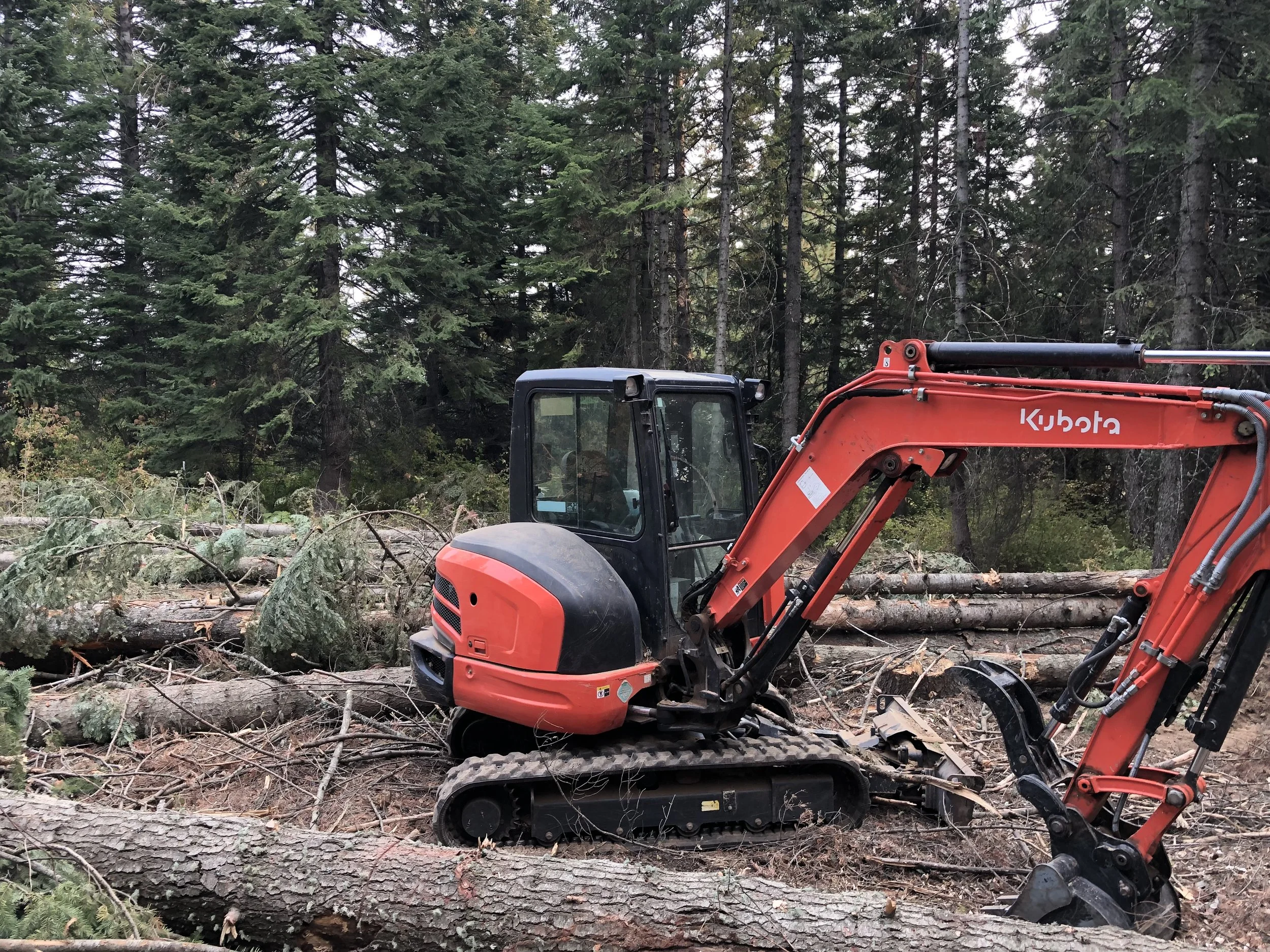 Separating useable timber from slash on a site being cleared for construction of a large shop building.