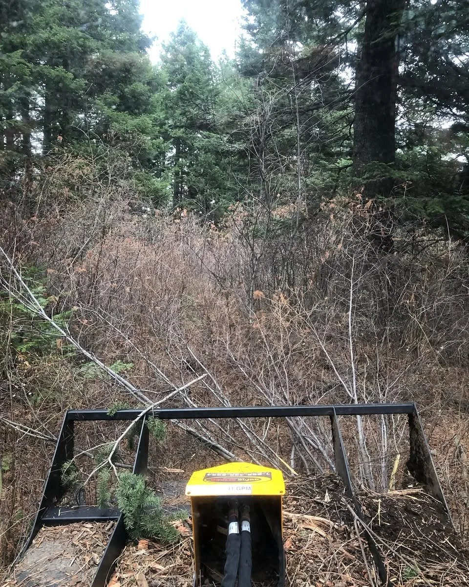 Brush cutting with a heavy-duty clearing mower that is capable of cutting down 7" thick softwoods.