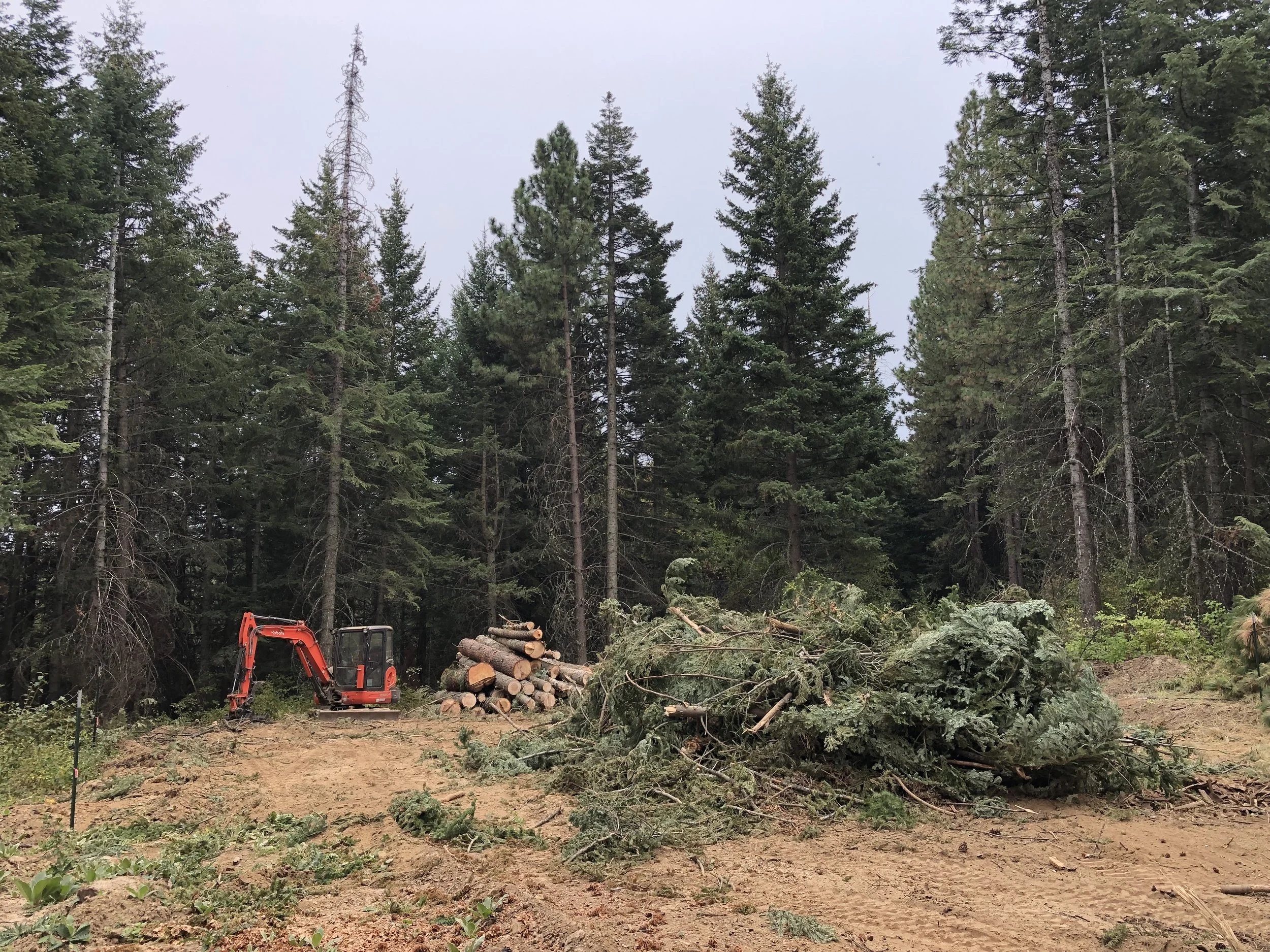 Site preparation; vegitation and tree clearing.