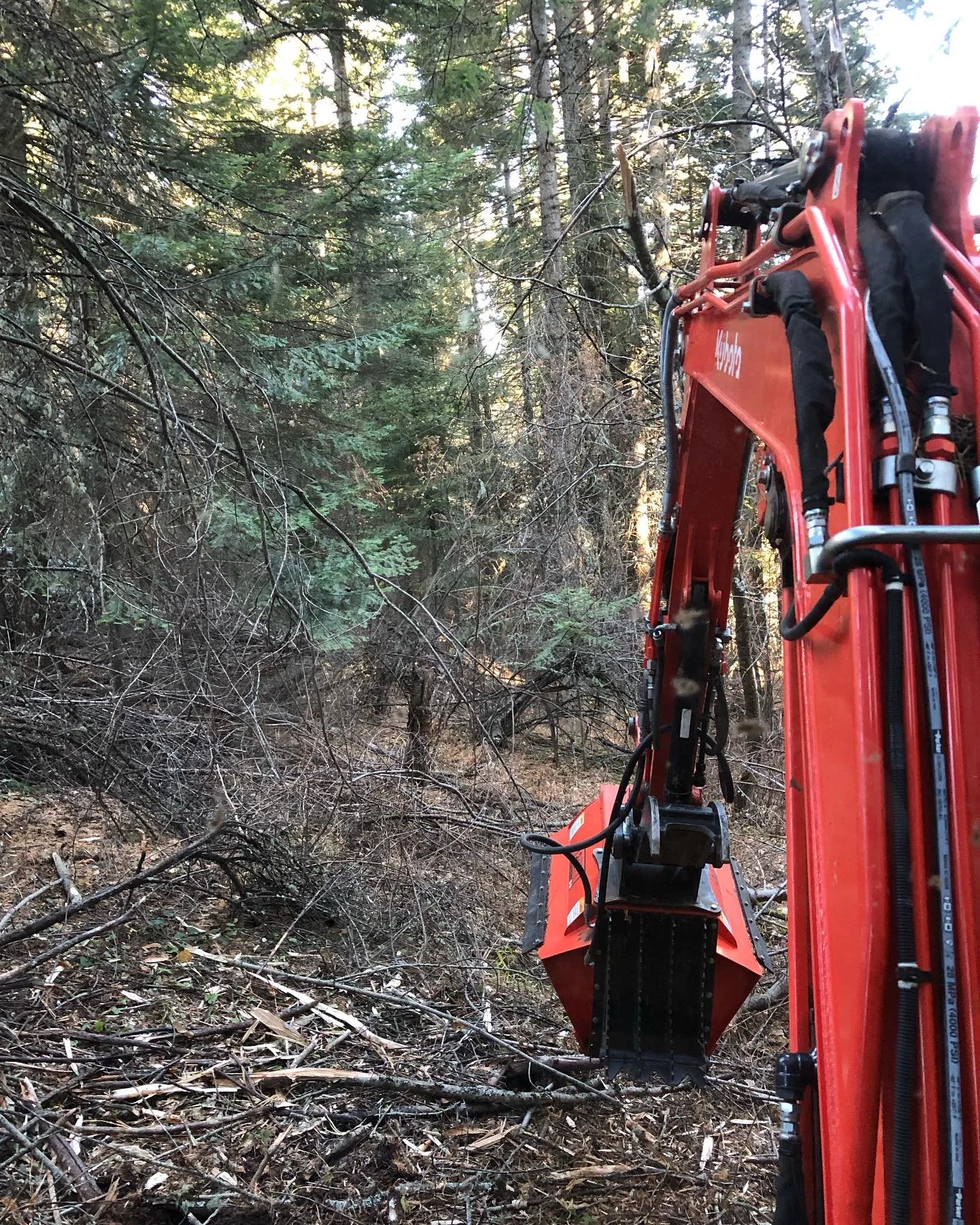 Close-up view of a red excavator with flail mower working in a forest, clearing fallen branches and debris.