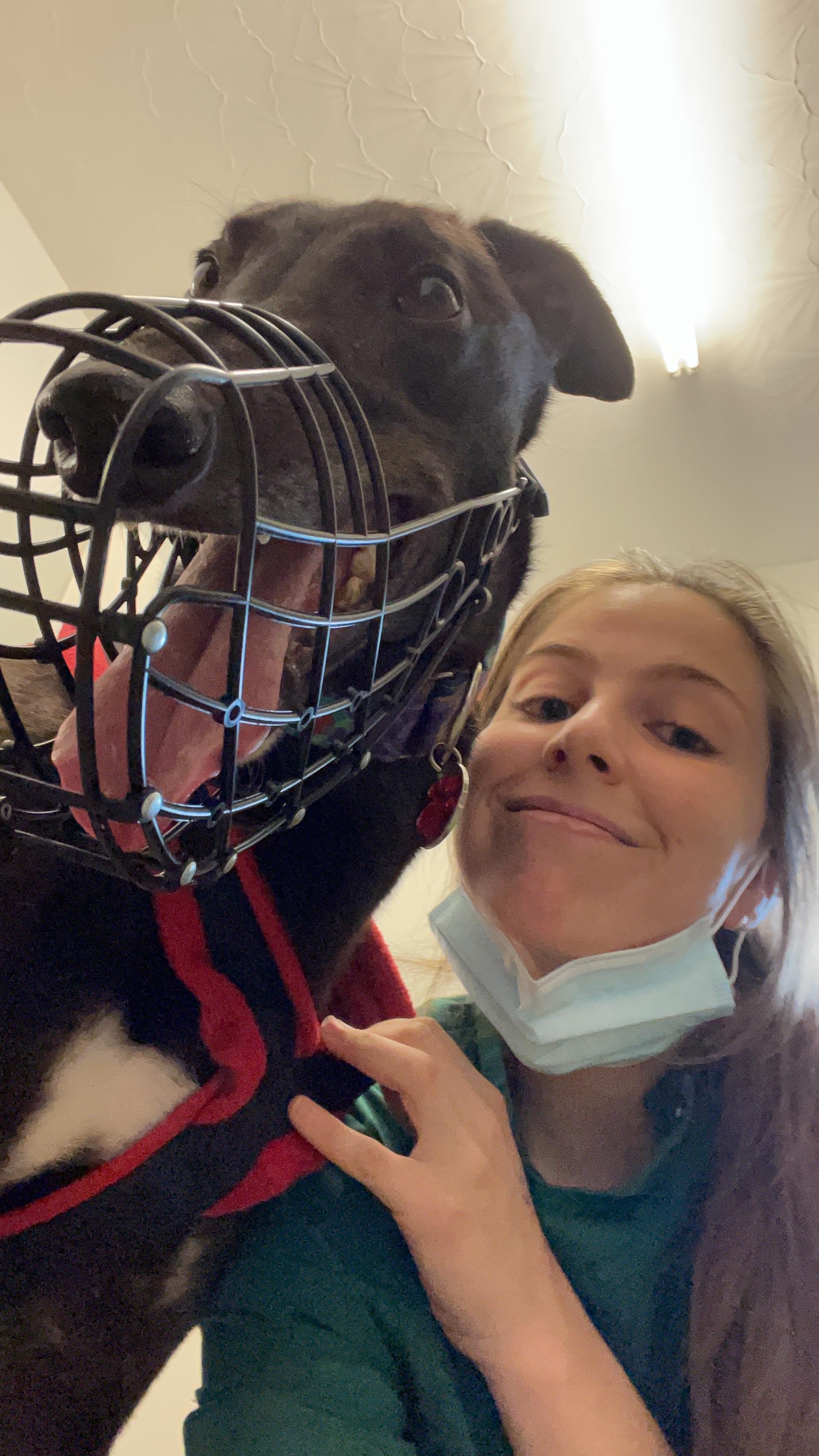 Cómo poner el Bozal a tu Perro