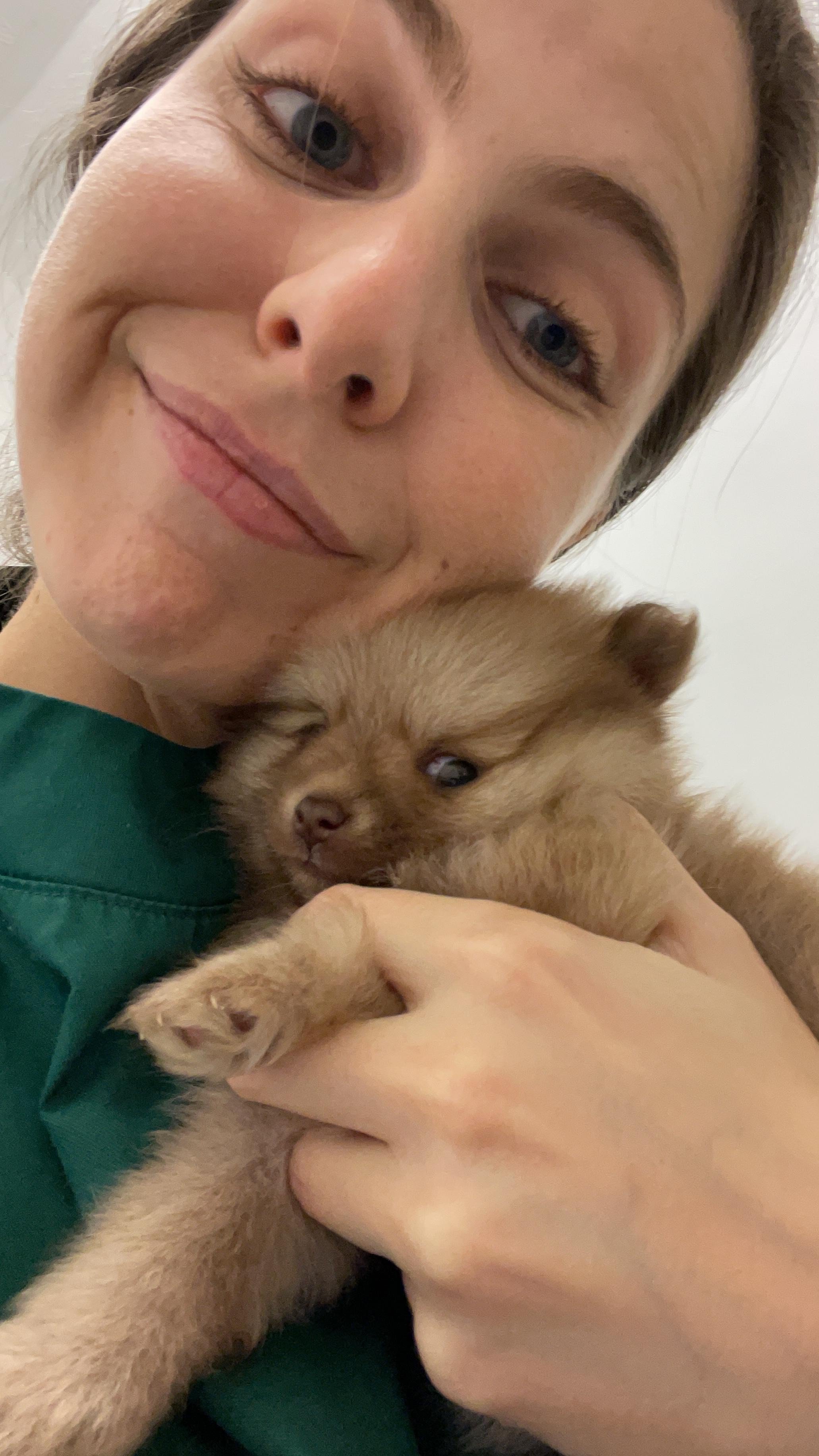 Las 7 cosas que debes saber de un perro recién nacido