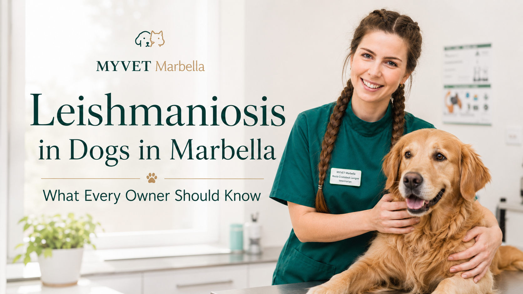 Leishmaniosis in Dogs in Marbella: What Every Owner Should Know