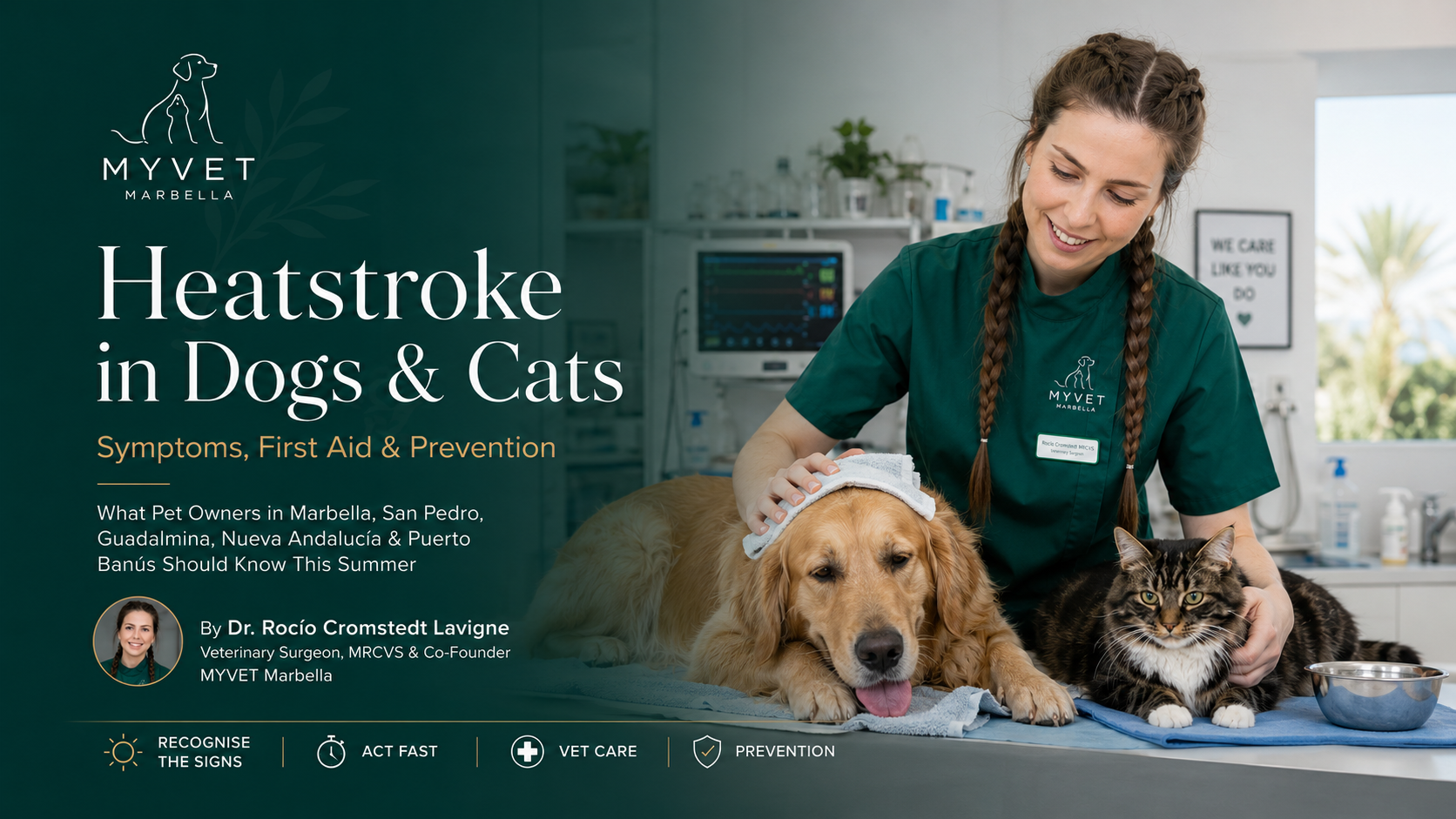 Heatstroke in Dogs and Cats in Marbella: What Every Pet Owner Must Know This Summer