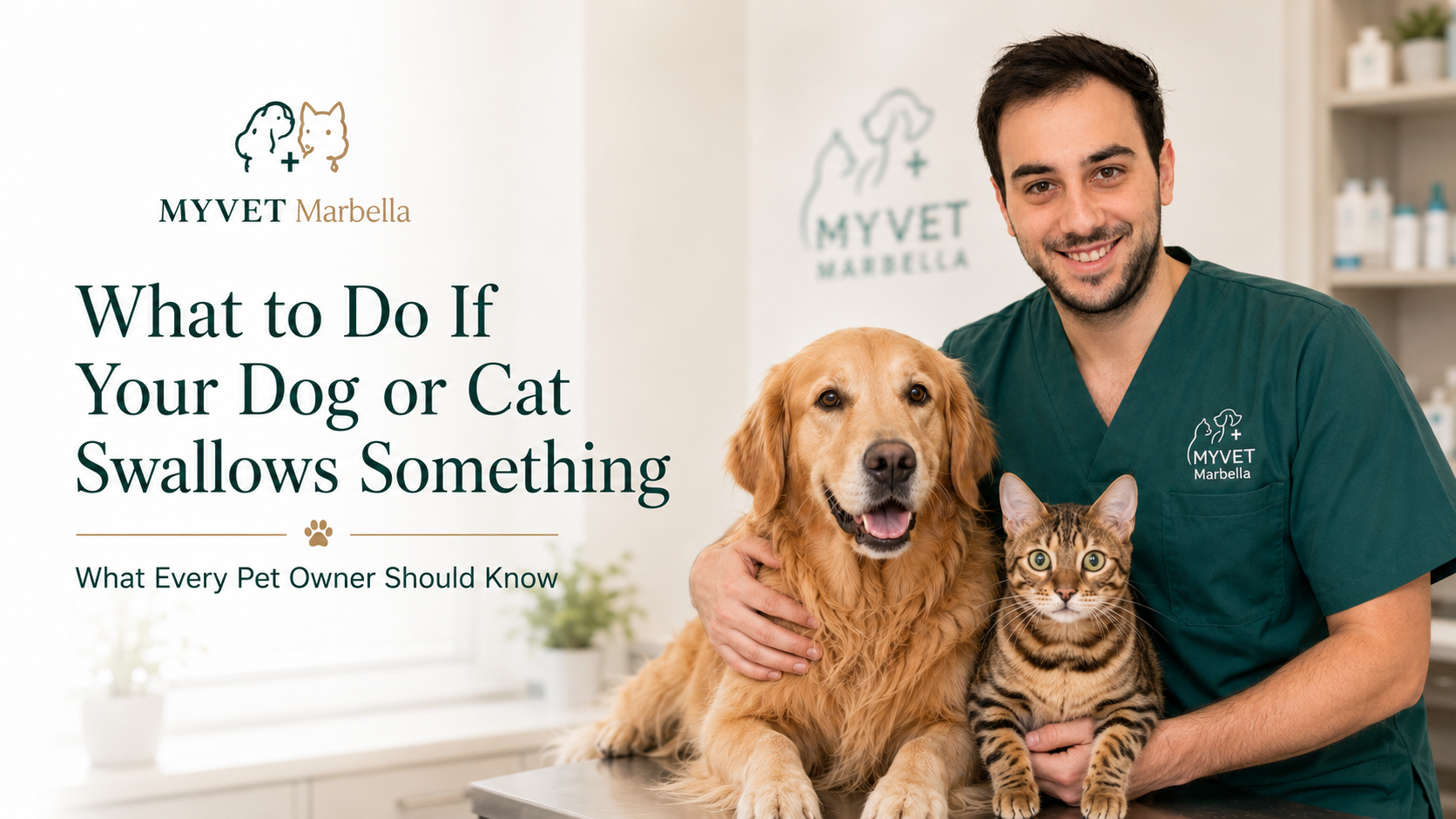 Veterinary surgeon at MYVET Marbella examining a dog after swallowing a pacifier or foreign object in Marbella