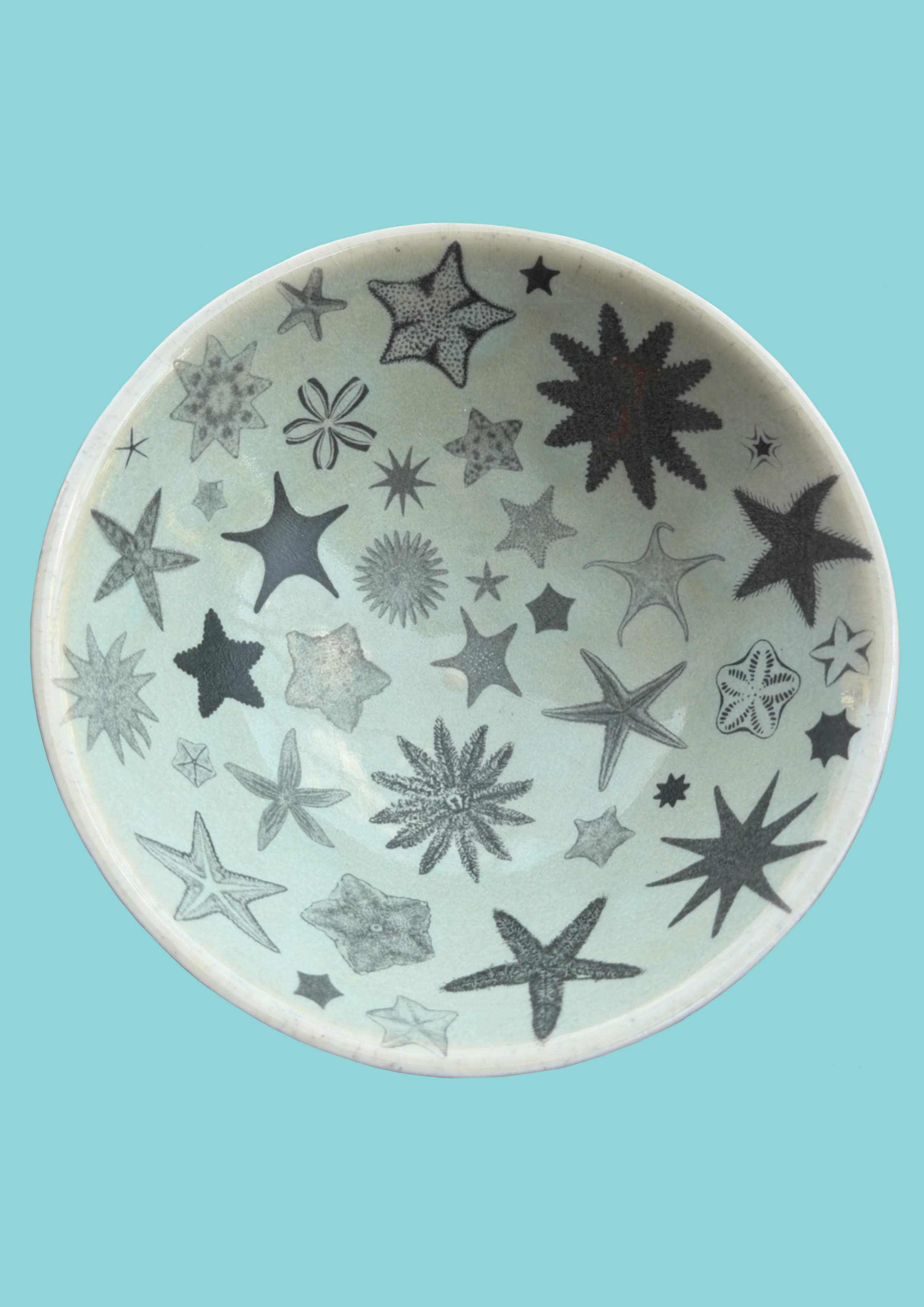 seastar.example1.png