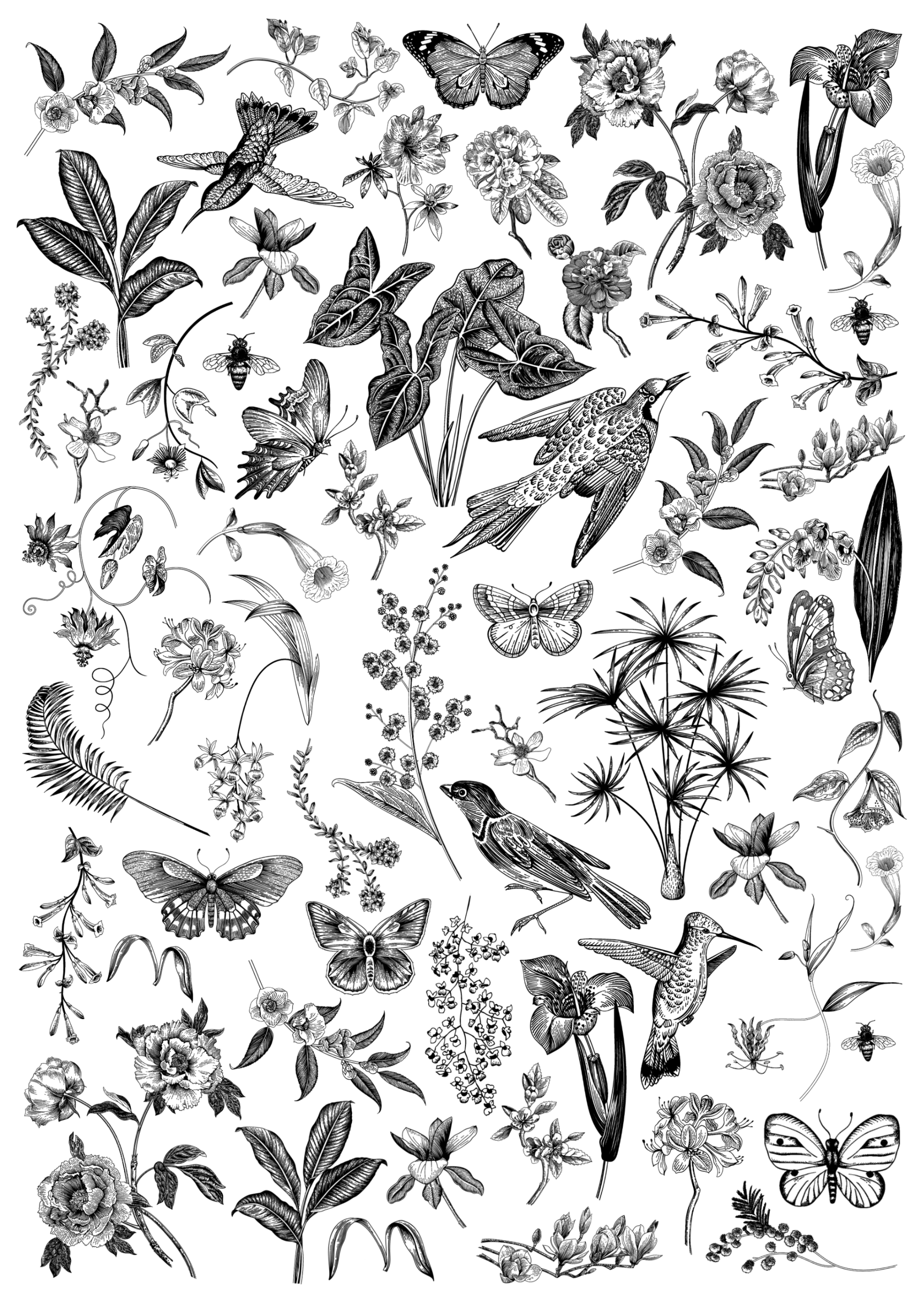 Black Fine Line Waterslide Decals