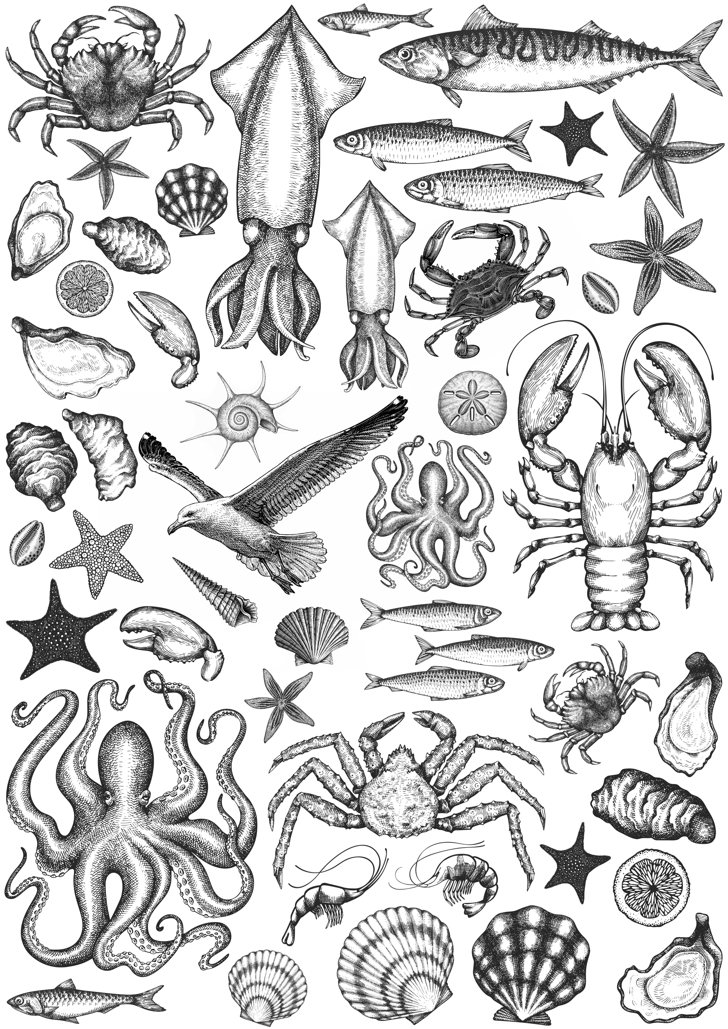 Hand-Drawn Ocean Decals