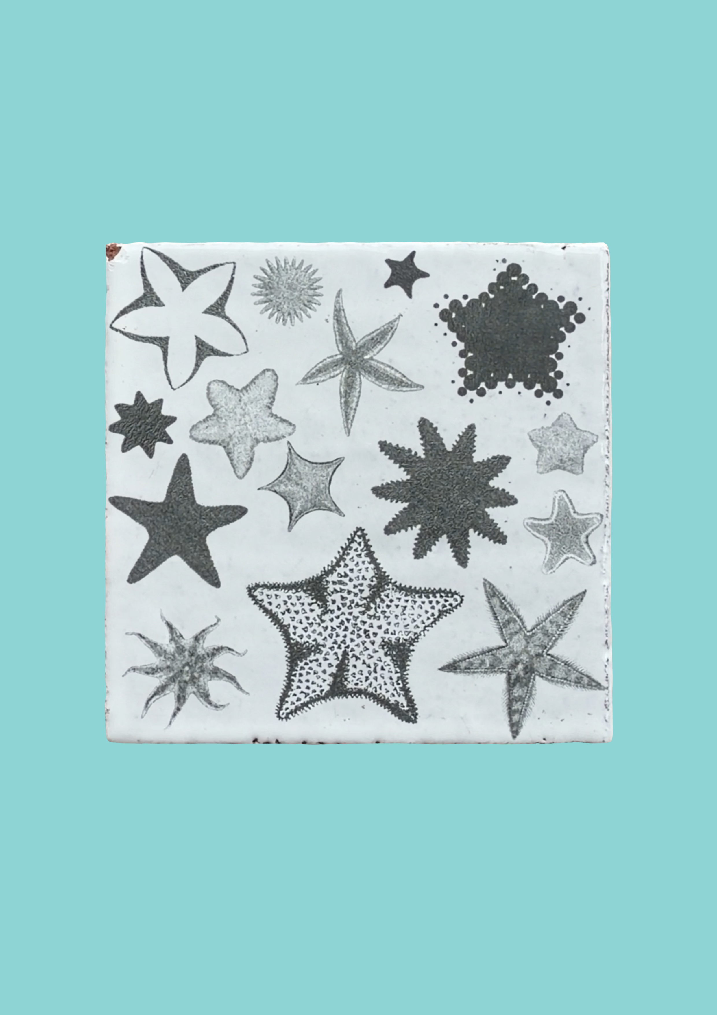 seastar.example2.png