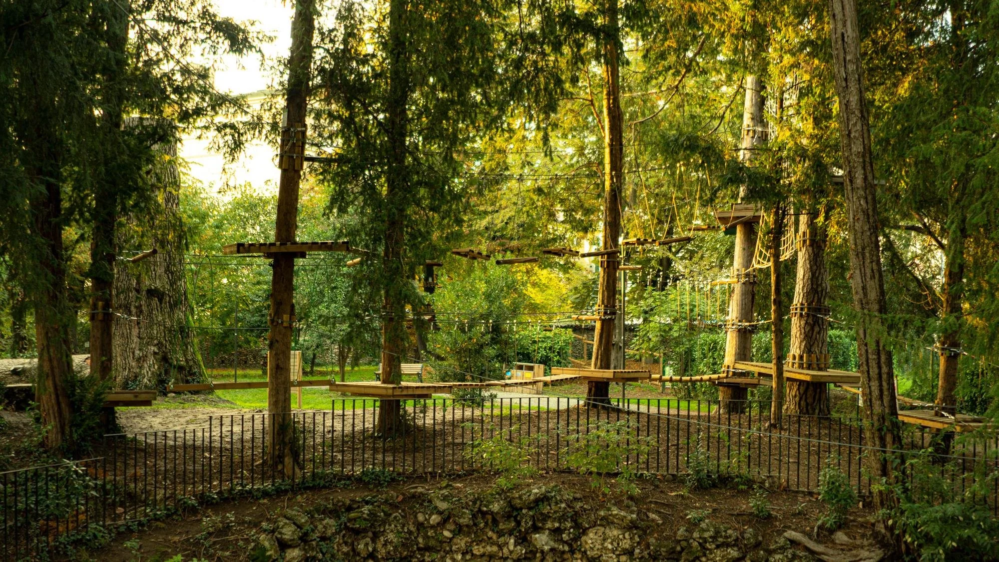 Parco avventura tra gli alberi con passerelle e ponti sospesi circondato da alberi verdi.