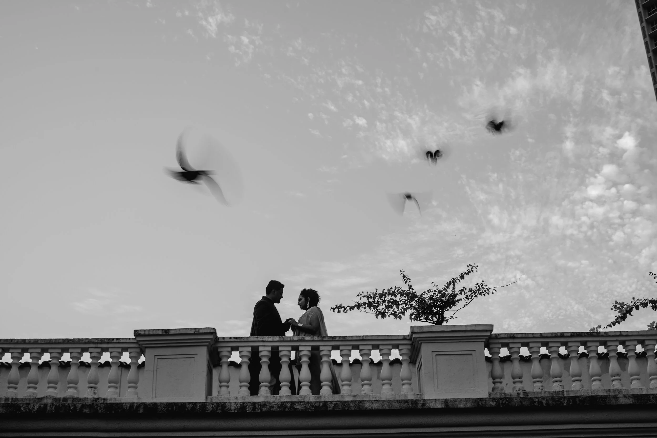 Photo- Prashin Jagger _ Team - portriats-64.jpg