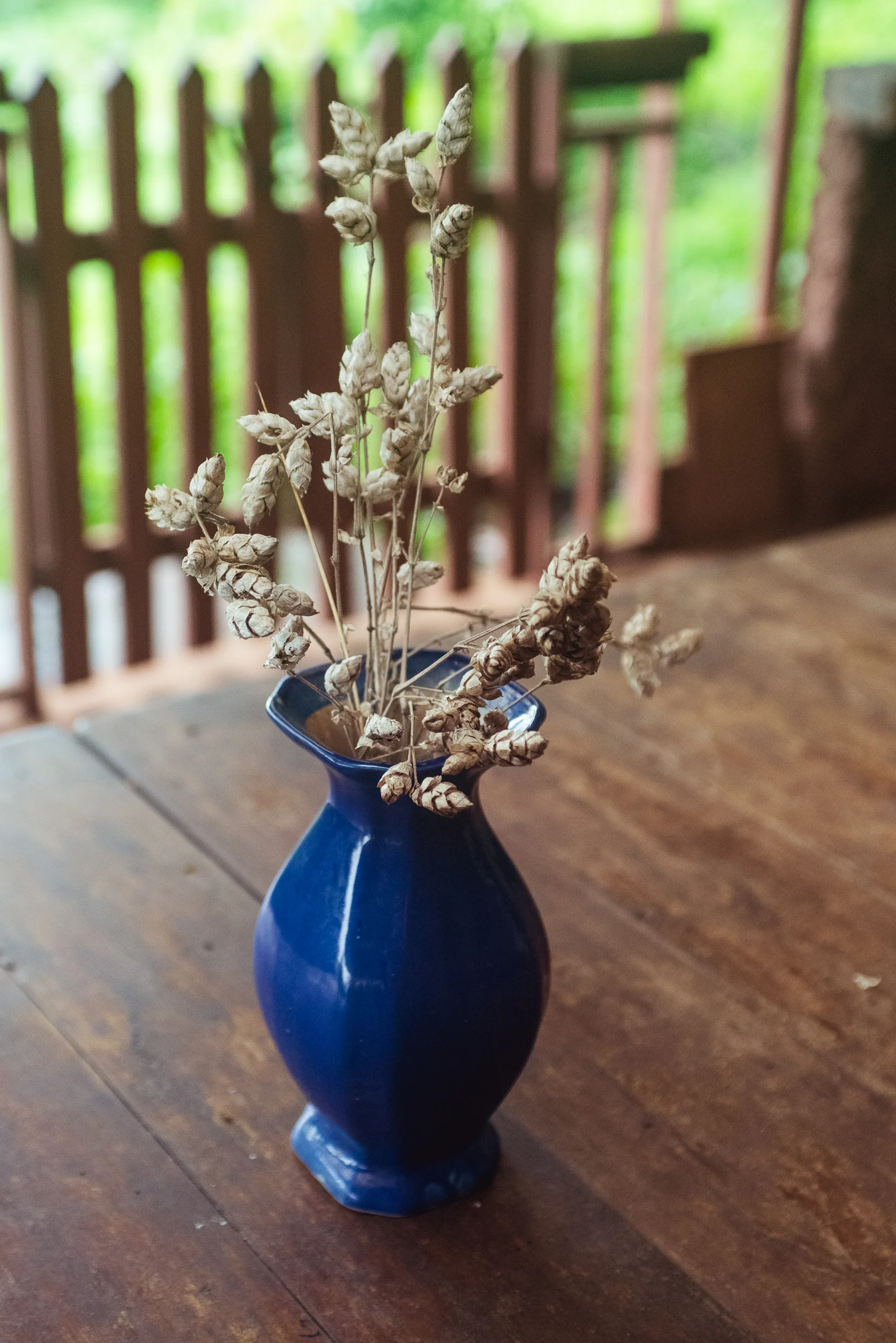 Photograph- Streamers-0702.jpg