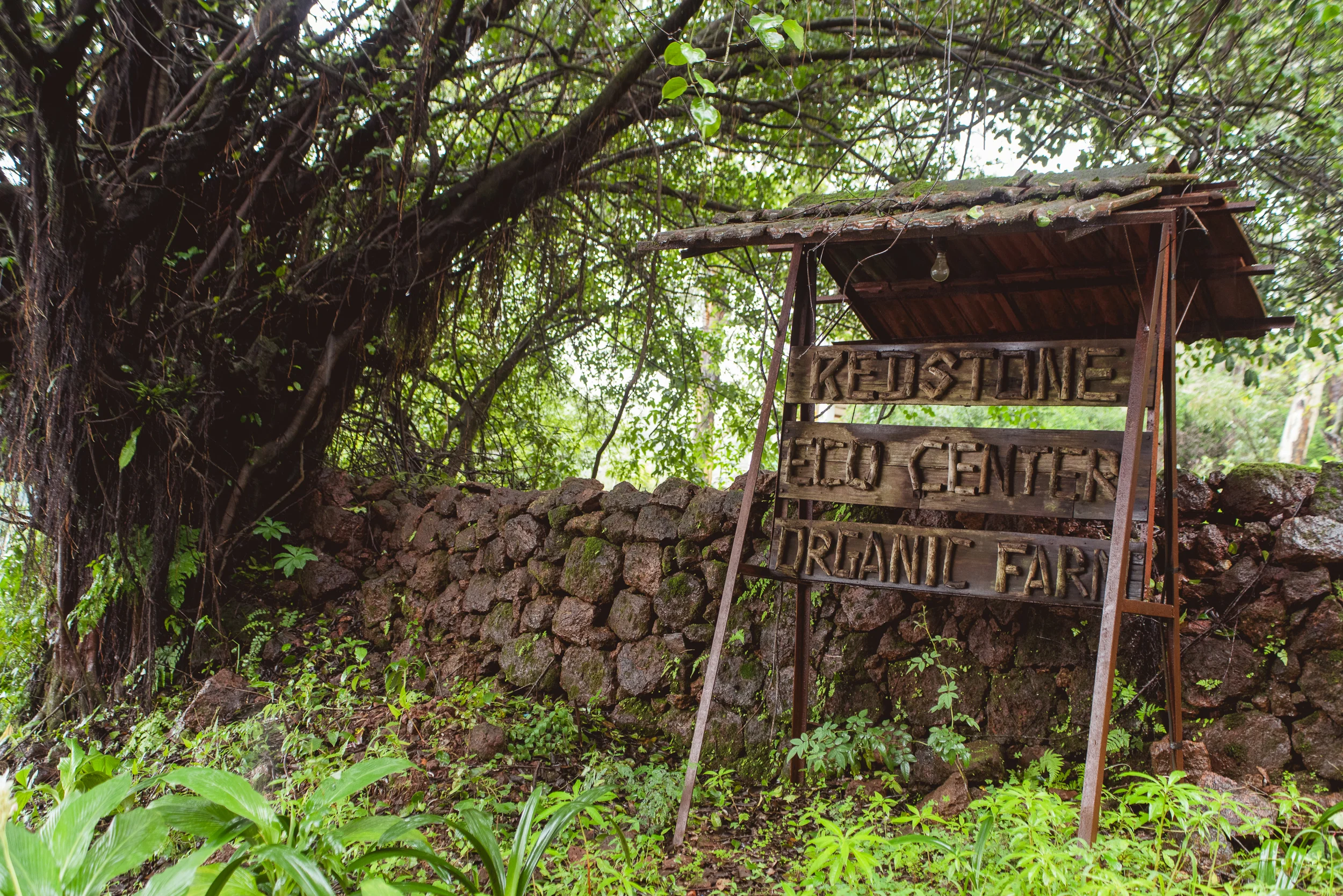 Photograph- Streamers-0852.jpg