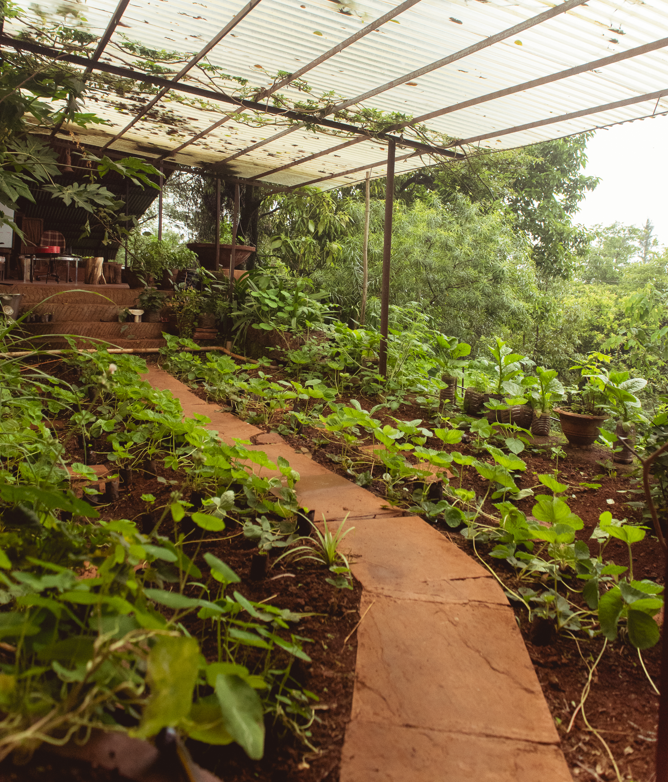 Photograph- Streamers-0659.jpg