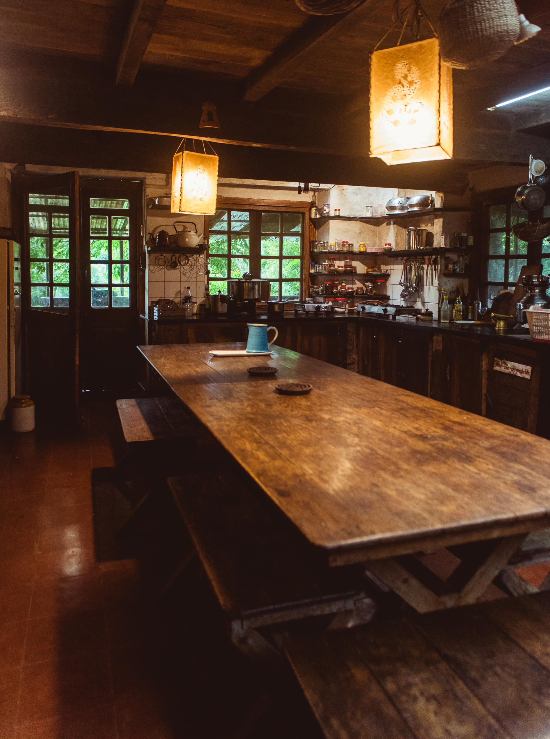 Photograph- Streamers-0765.jpg