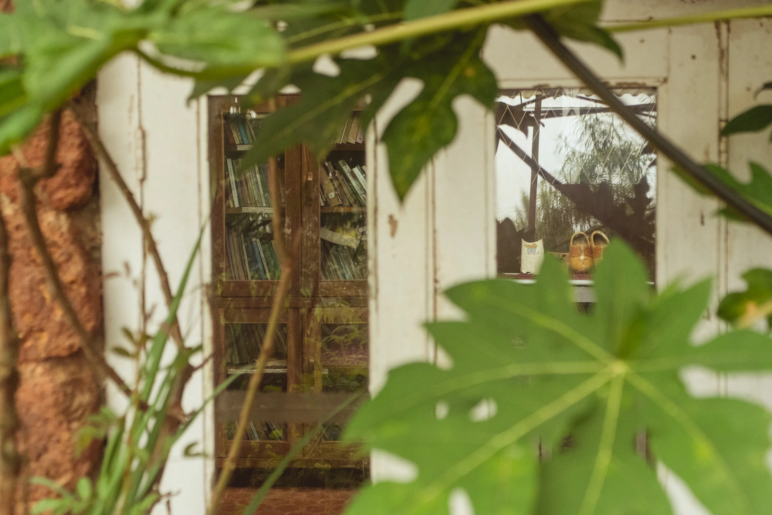 Photograph- Streamers-0663.jpg