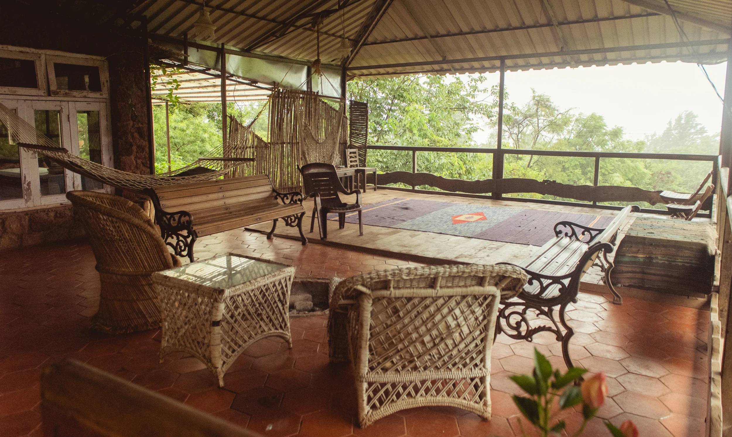 Photograph- Streamers-0655.jpg