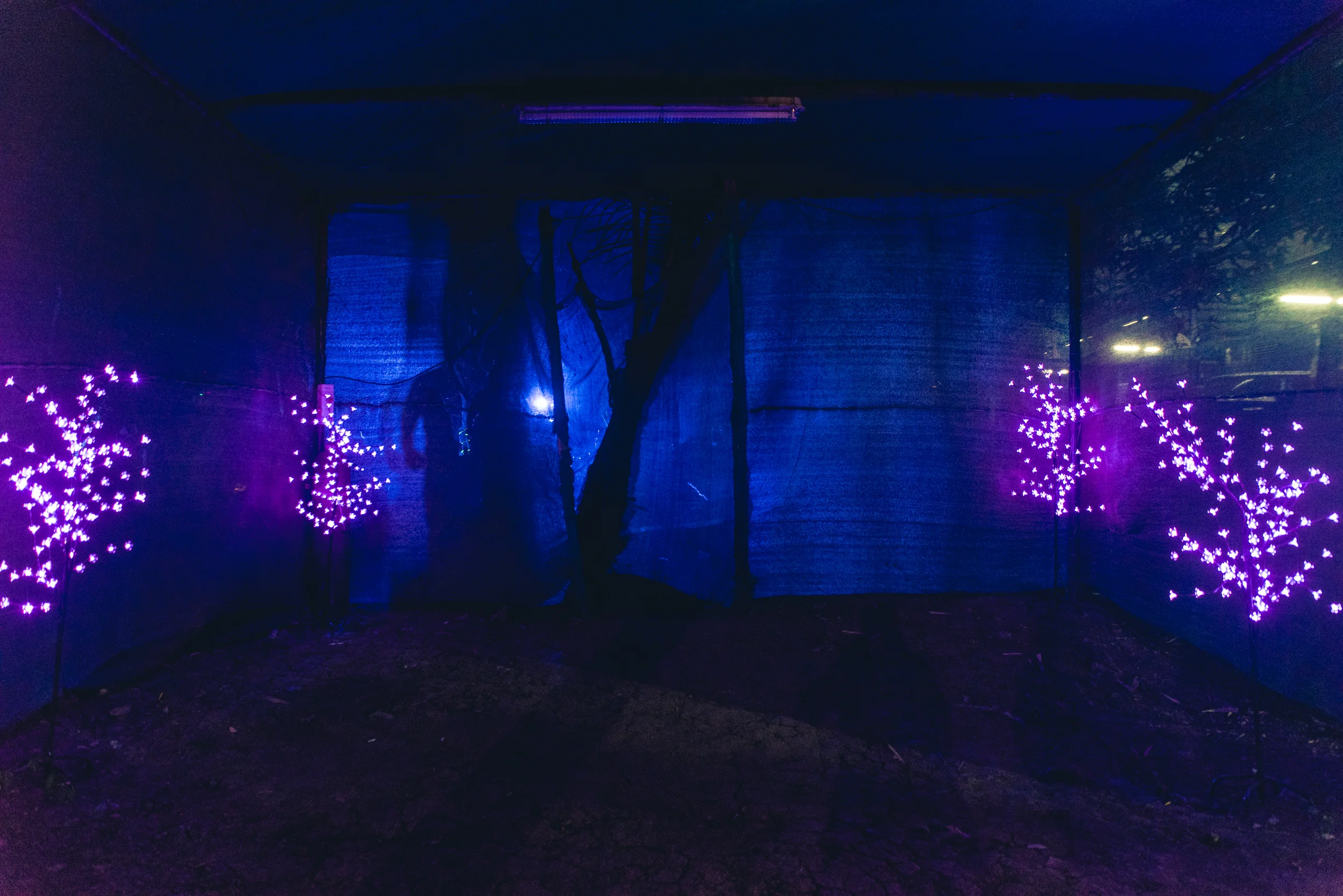 Photo - Prashin Jagger - CAD 10-41.jpg