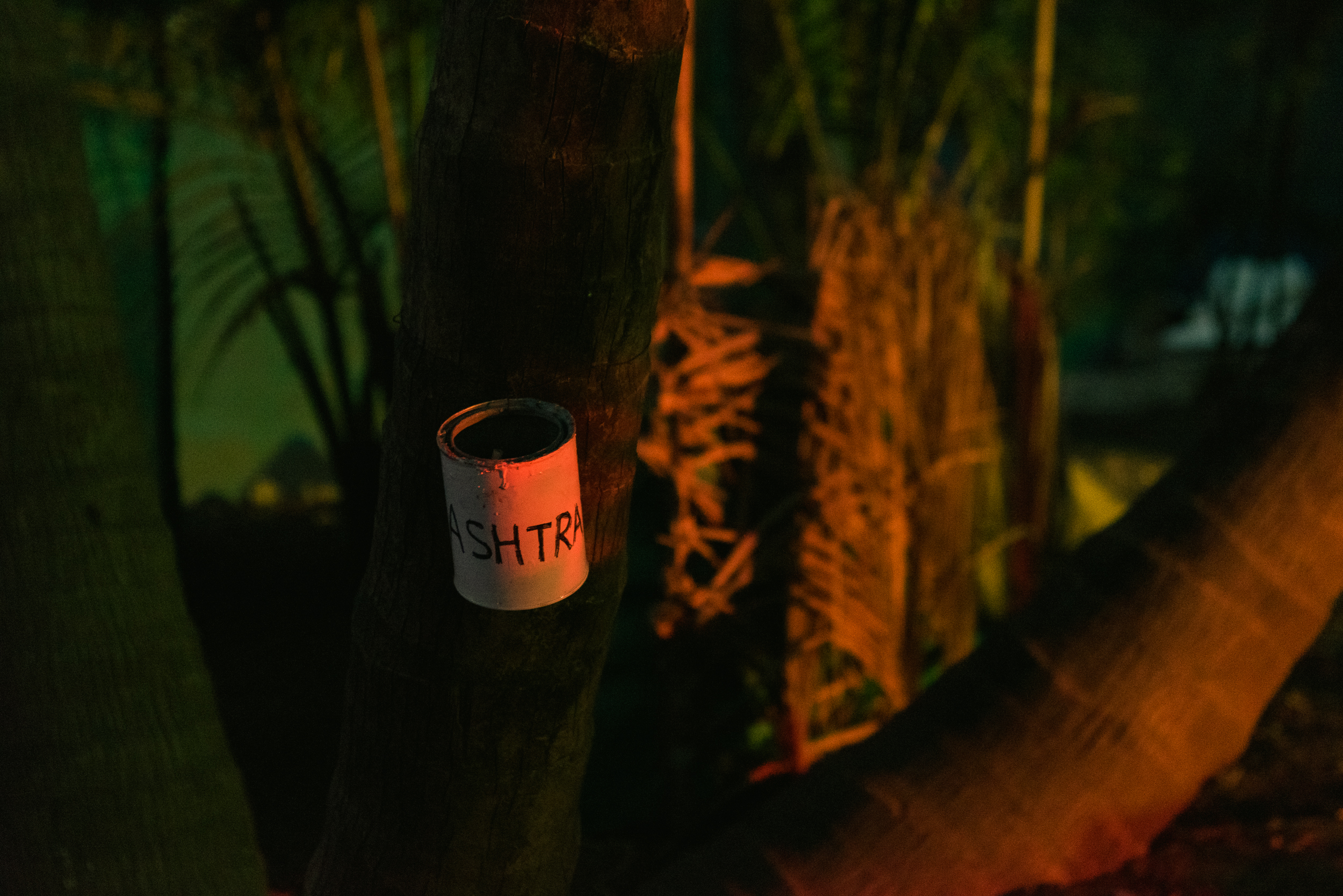 Photo - Prashin Jagger - CAD 10-4.jpg