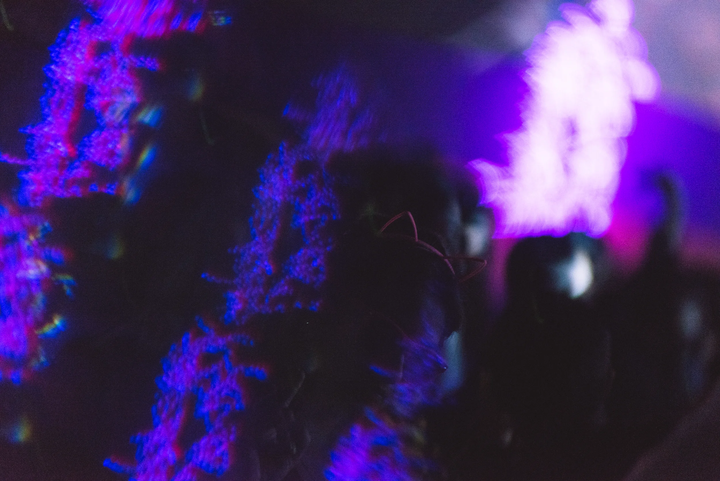 Photo - Prashin Jagger - NH7 2016-7367.jpg