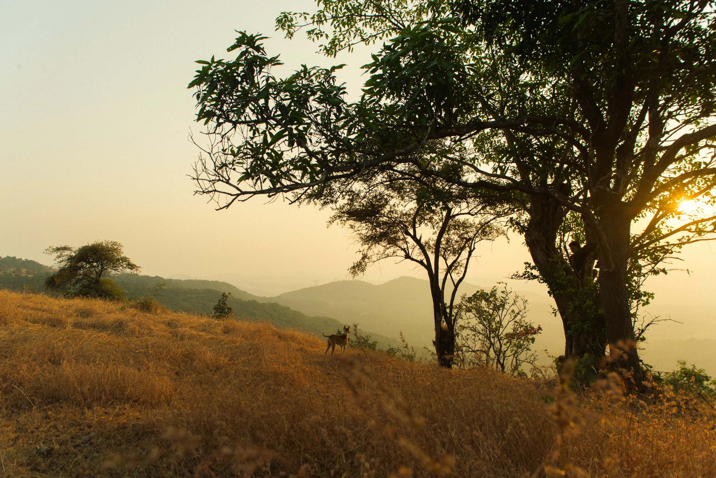 Photograph - Prashin Jagger-4.jpg