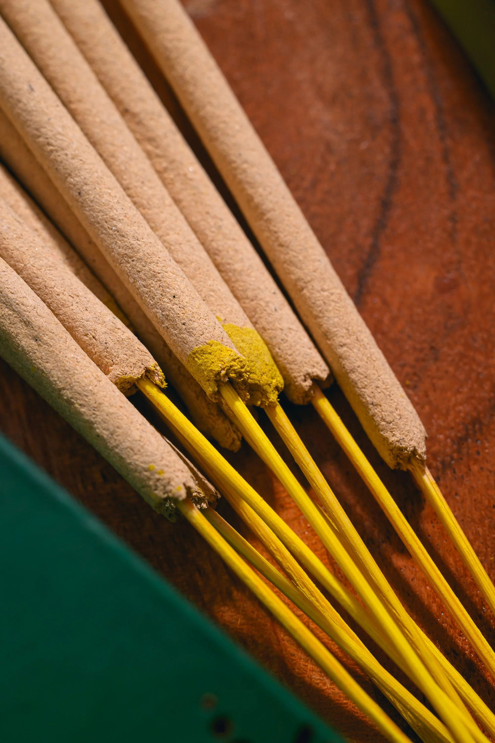 Photo - Prashin Jagger -8501.jpg