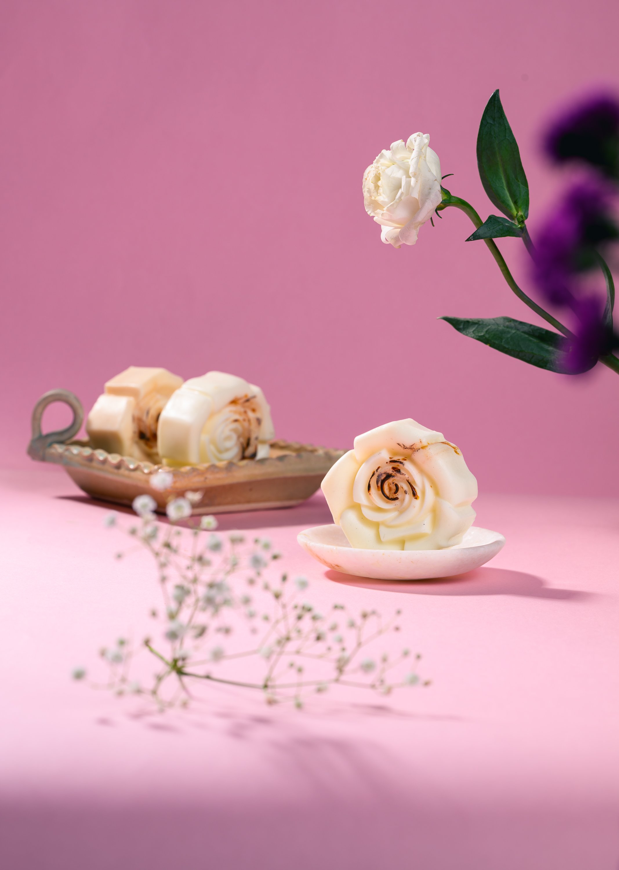 Photo - Prashin Jagger -8615.jpg