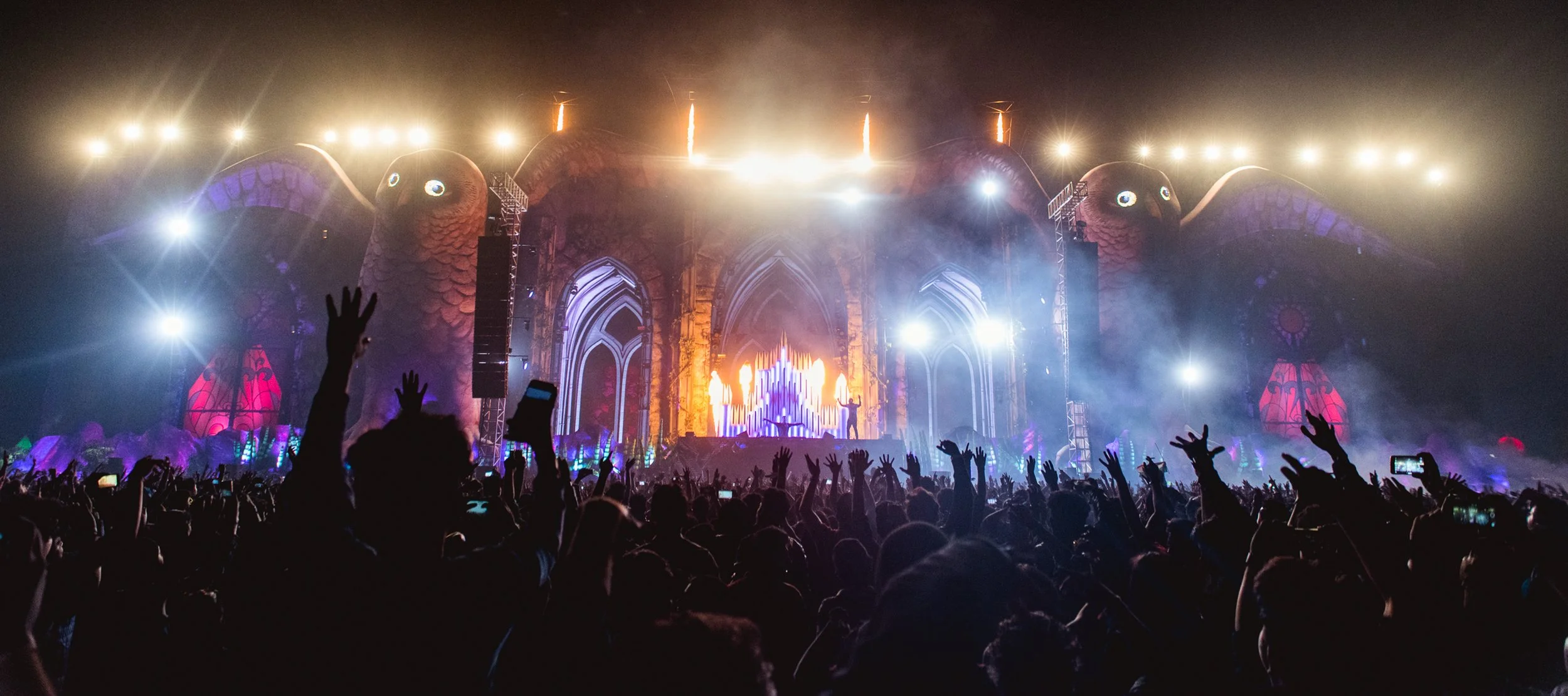 Photo - PrashinJagger-6651- Photo - Prashin Jagger .jpg