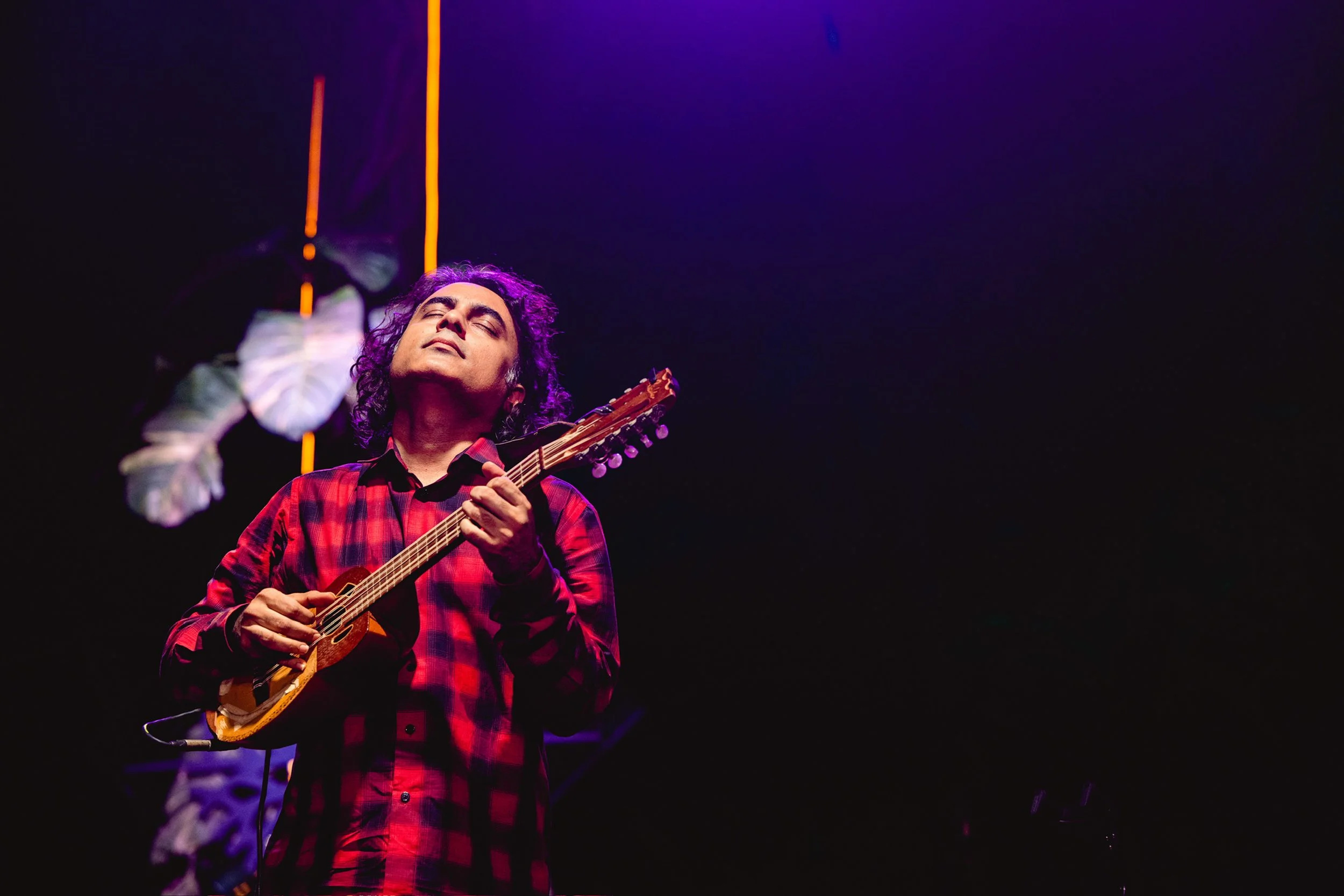 PRA_1454- Photo - Prashin Jagger .jpg