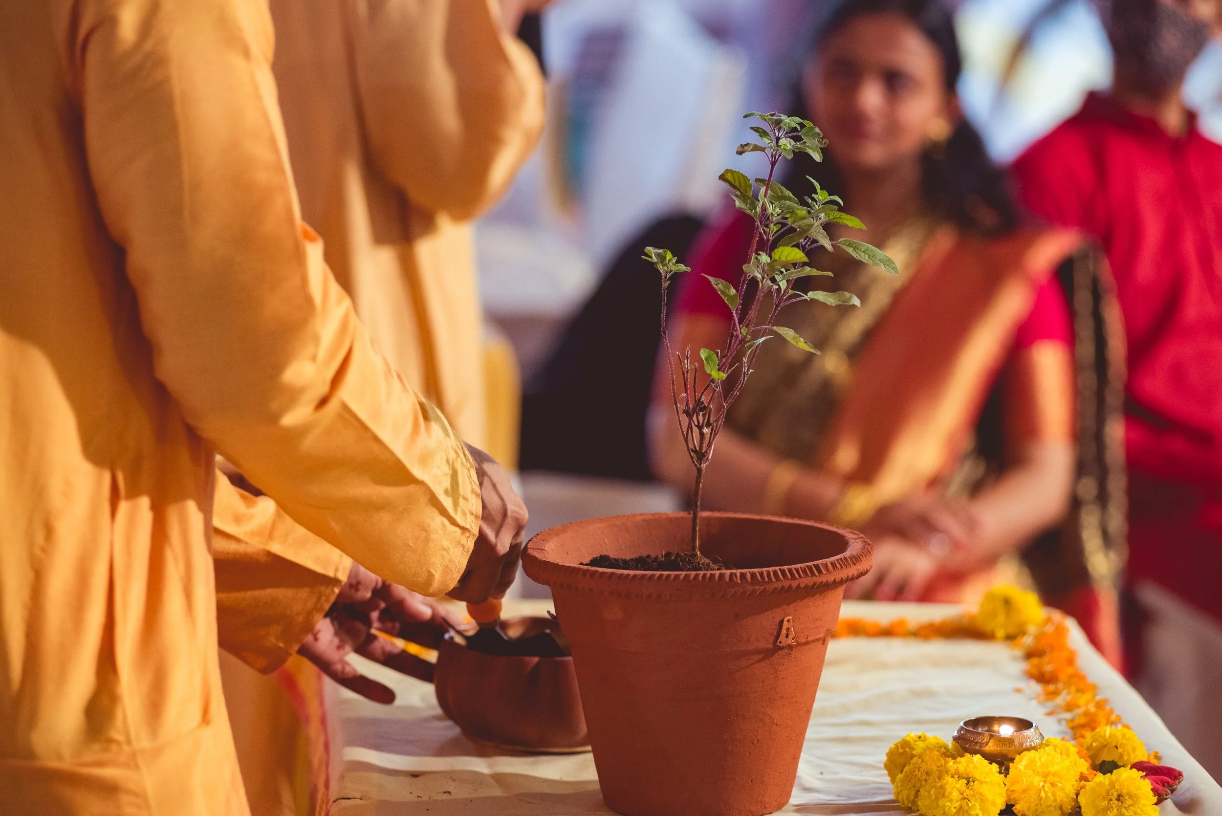 Photo- Prashin Jagger _ Siddesh-179.jpg