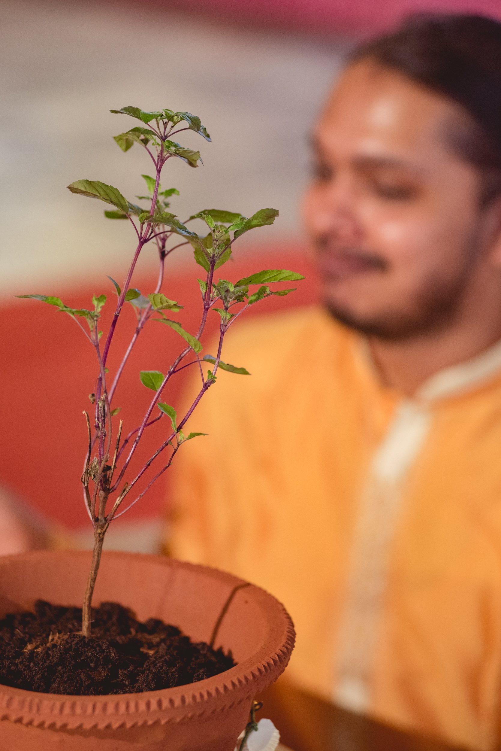 Photo- Prashin Jagger _ Siddesh-297.jpg