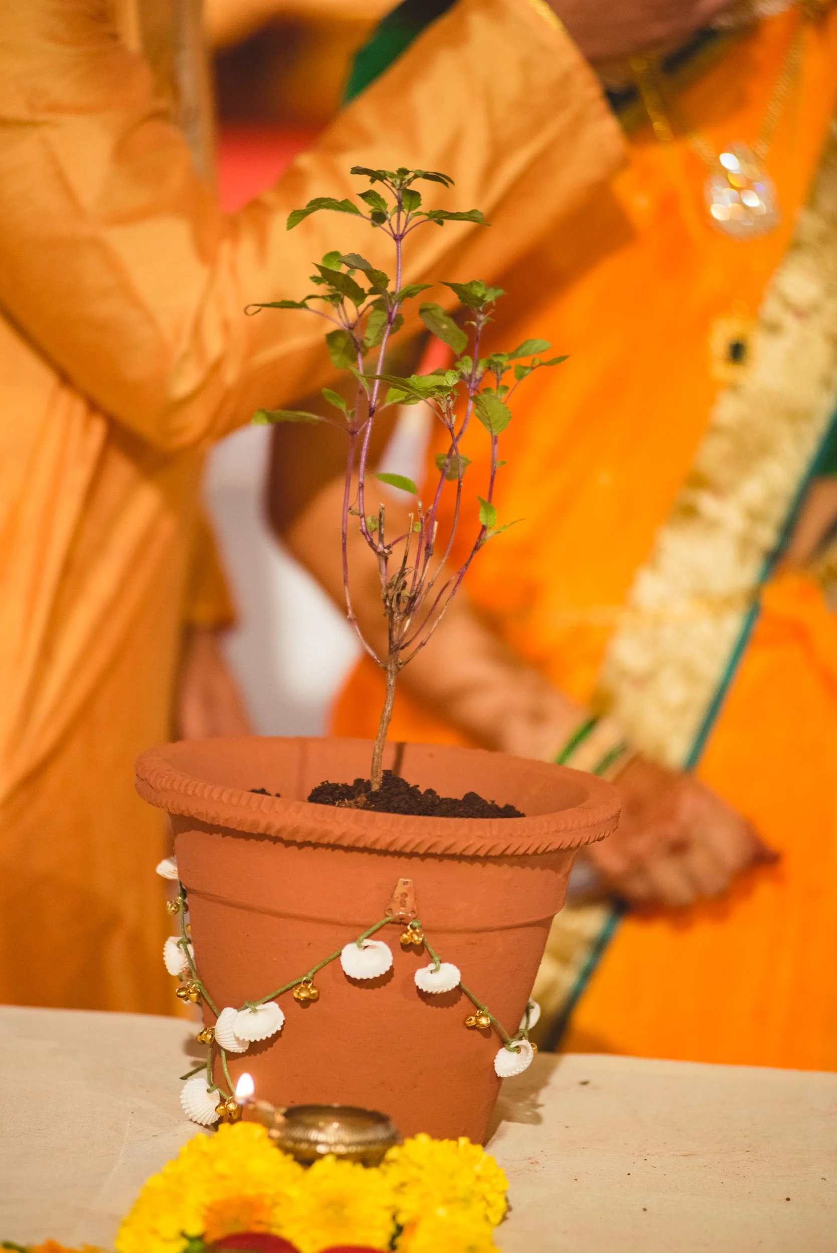 Photo- Prashin Jagger _ Siddesh-197.jpg