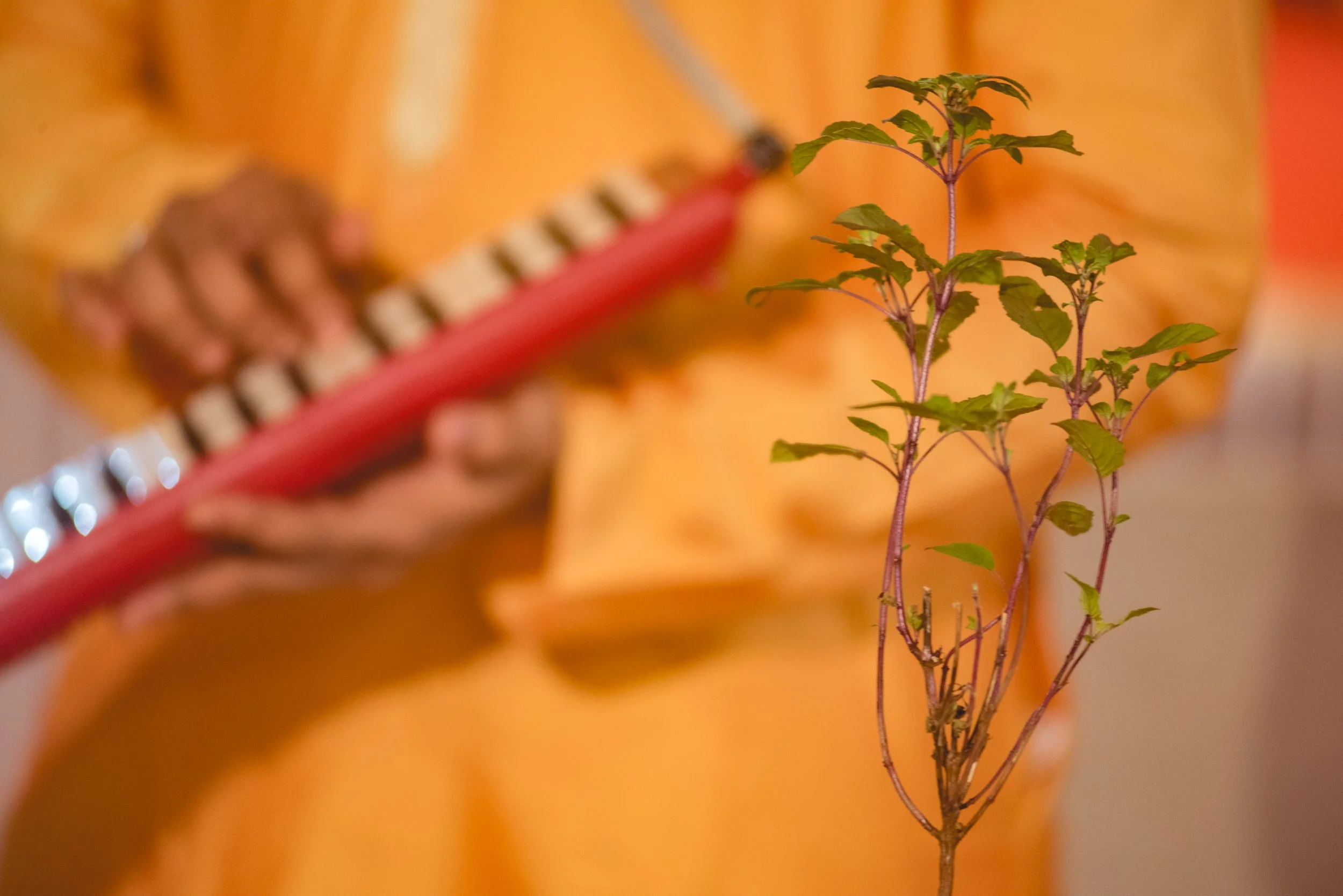 Photo- Prashin Jagger _ Siddesh-269.jpg