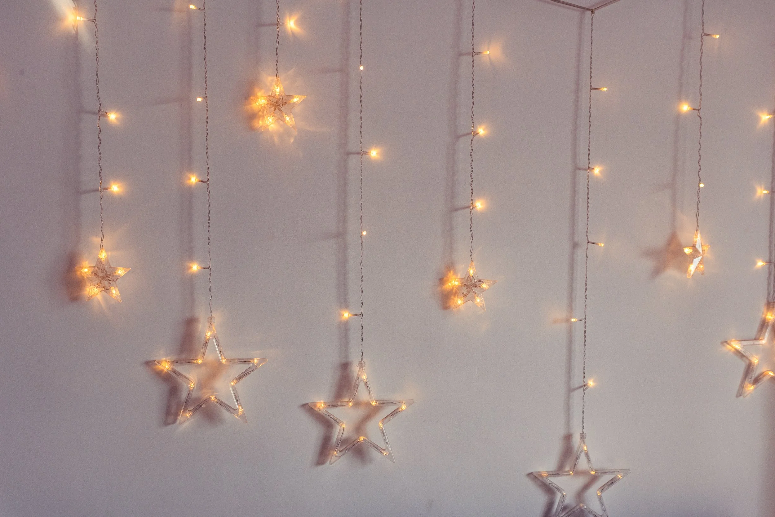 Photo- Prashin Jagger _ Team-140.jpg