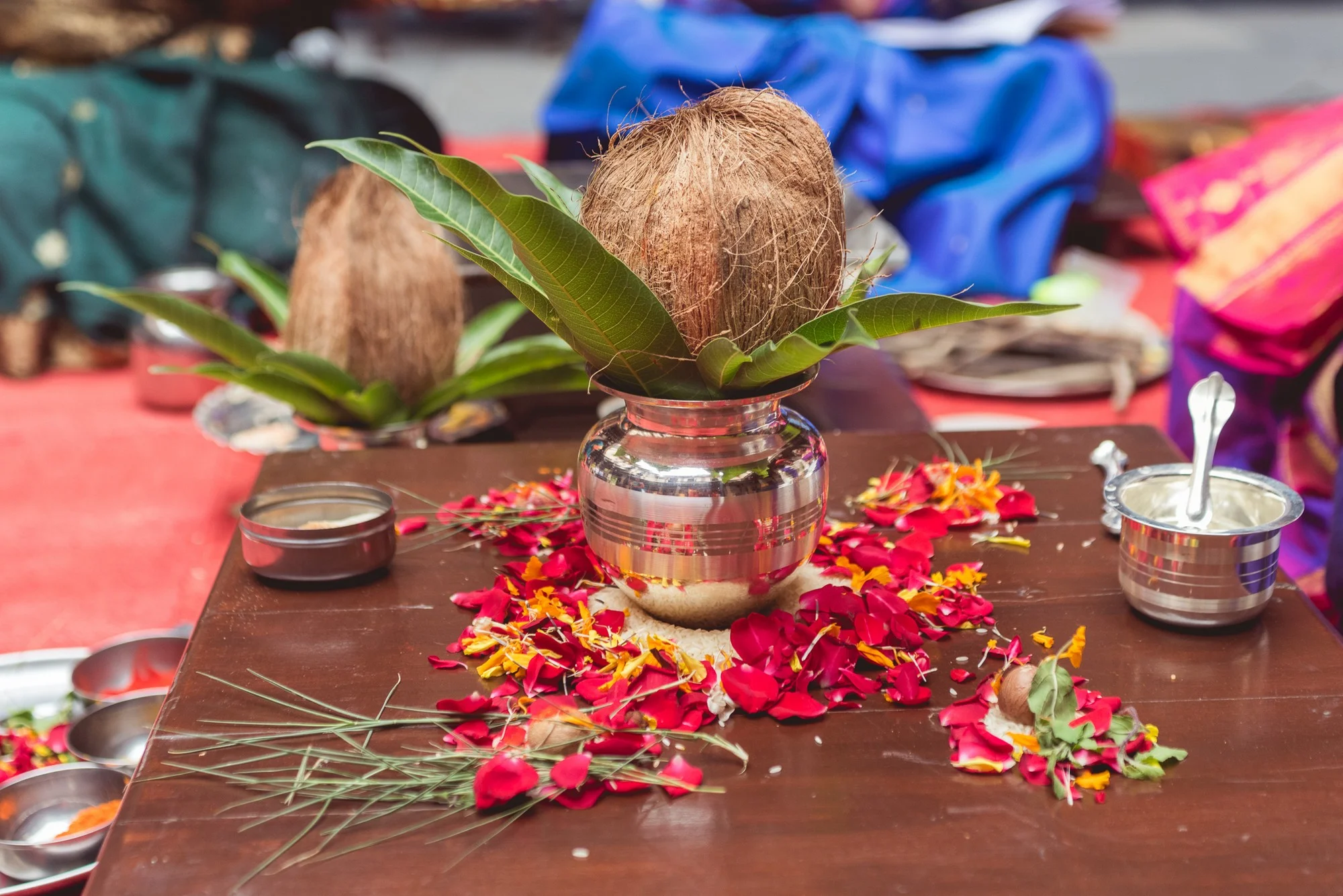 Low Res Prashin Jagger(0079).jpg